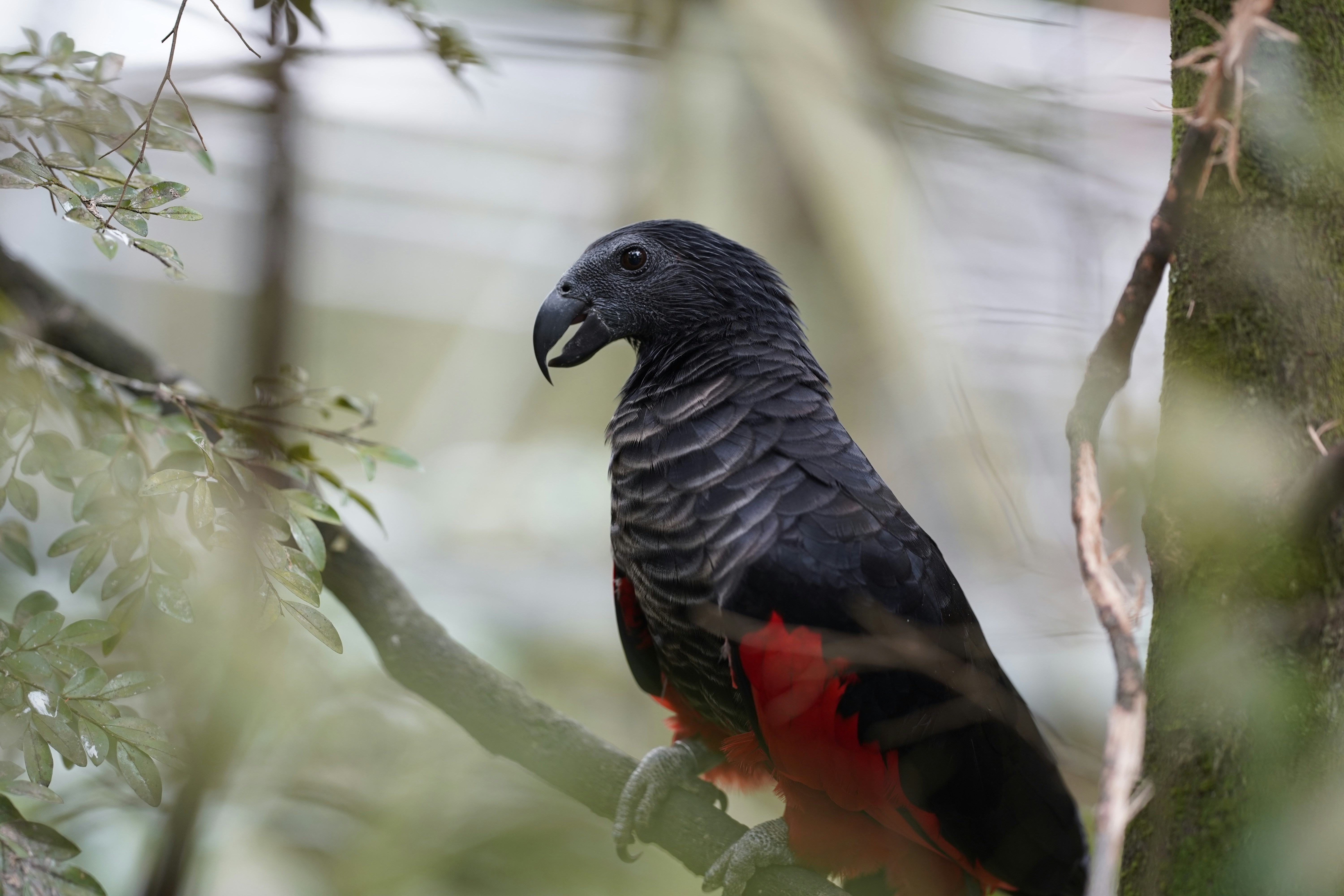 Photo by maryanntoinette