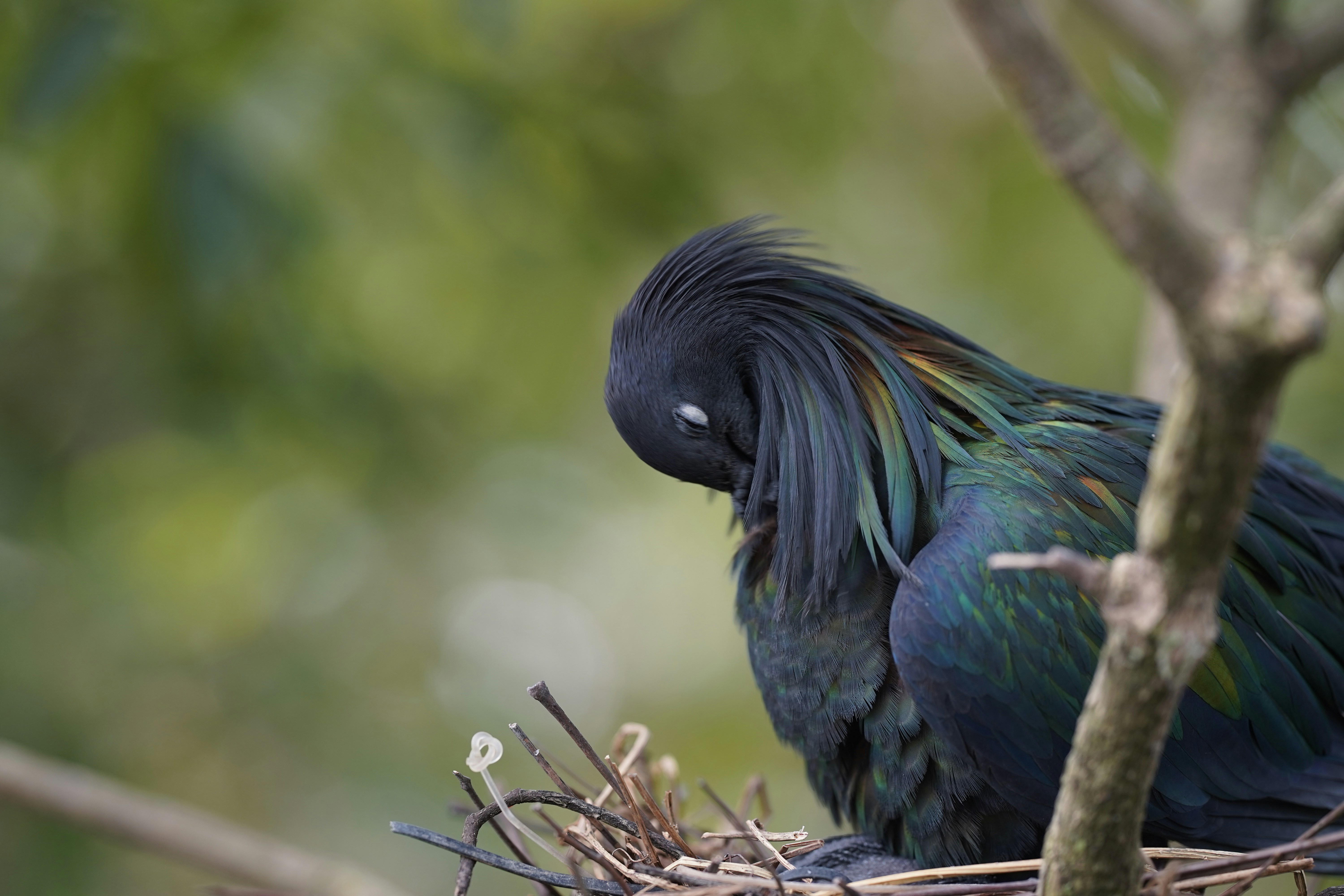 Photo by maryanntoinette