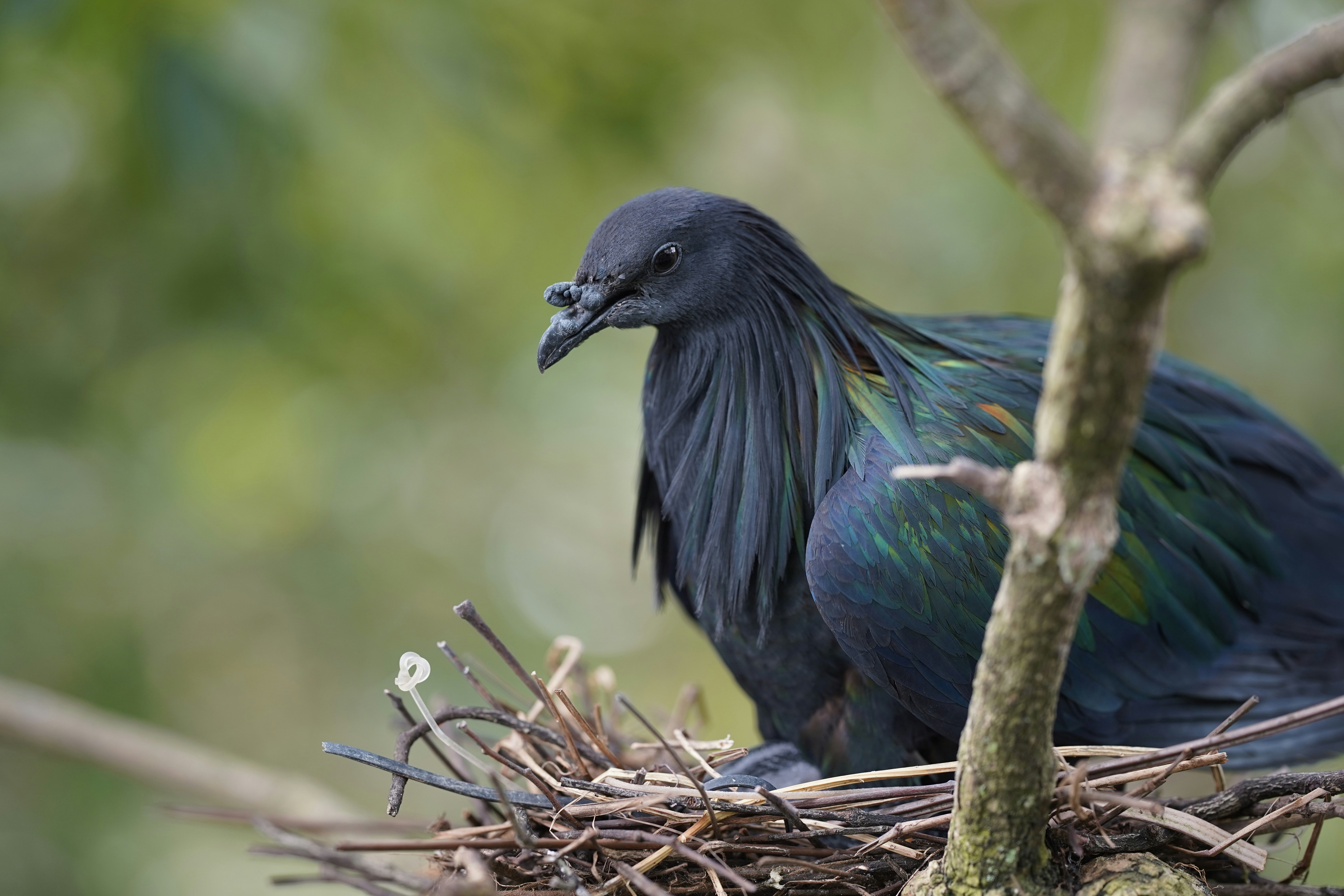 Photo by maryanntoinette