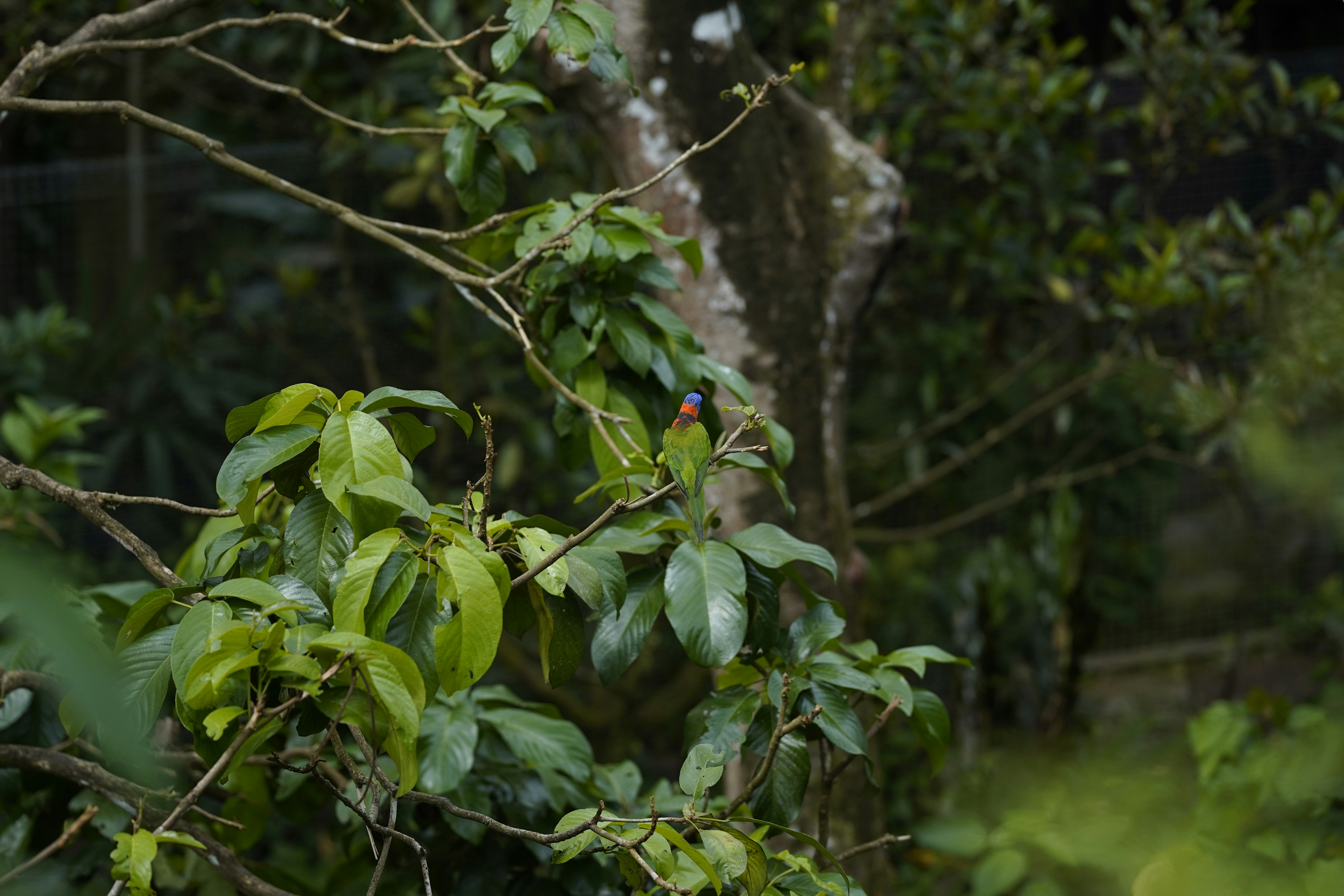 Photo by maryanntoinette