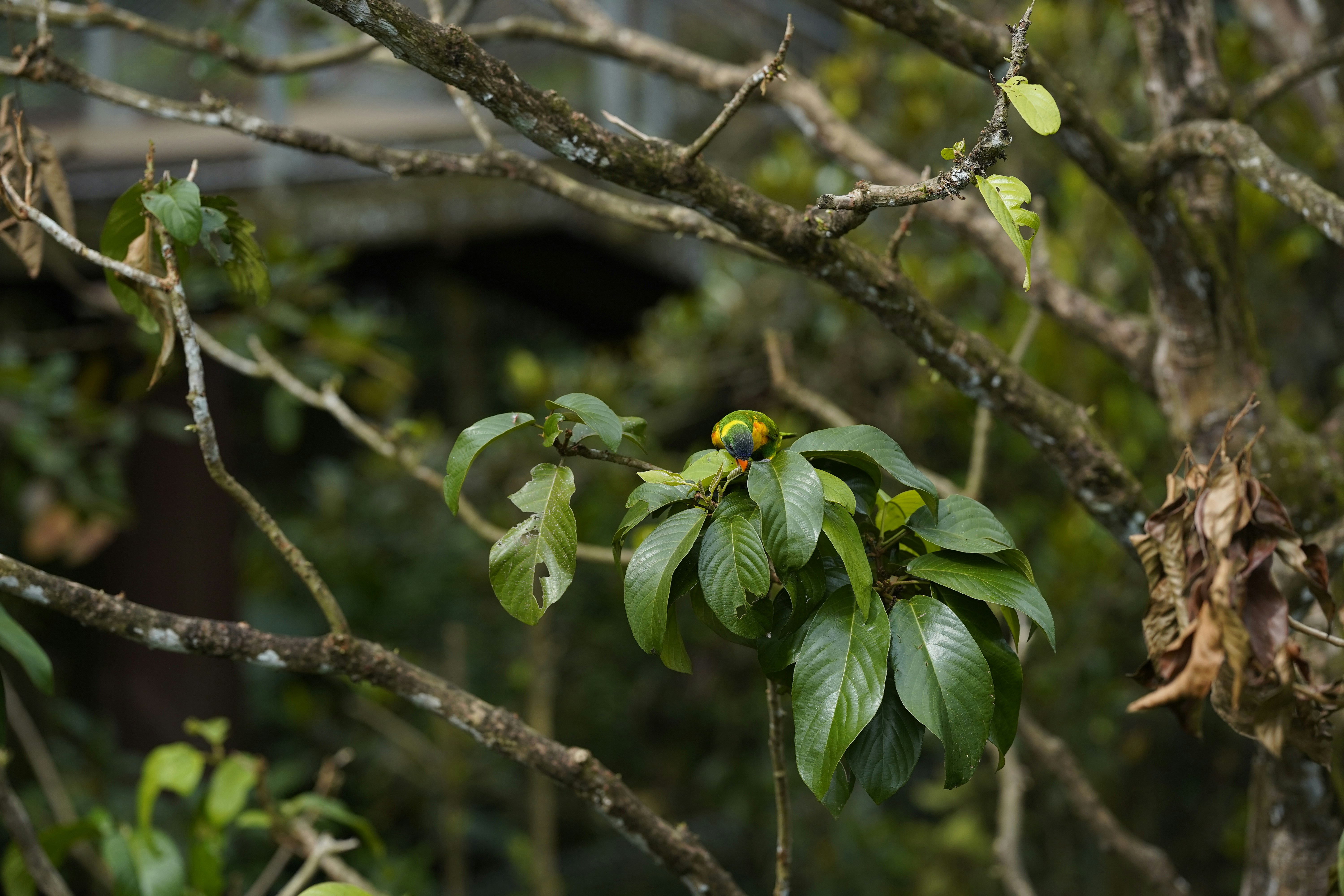 Photo by maryanntoinette