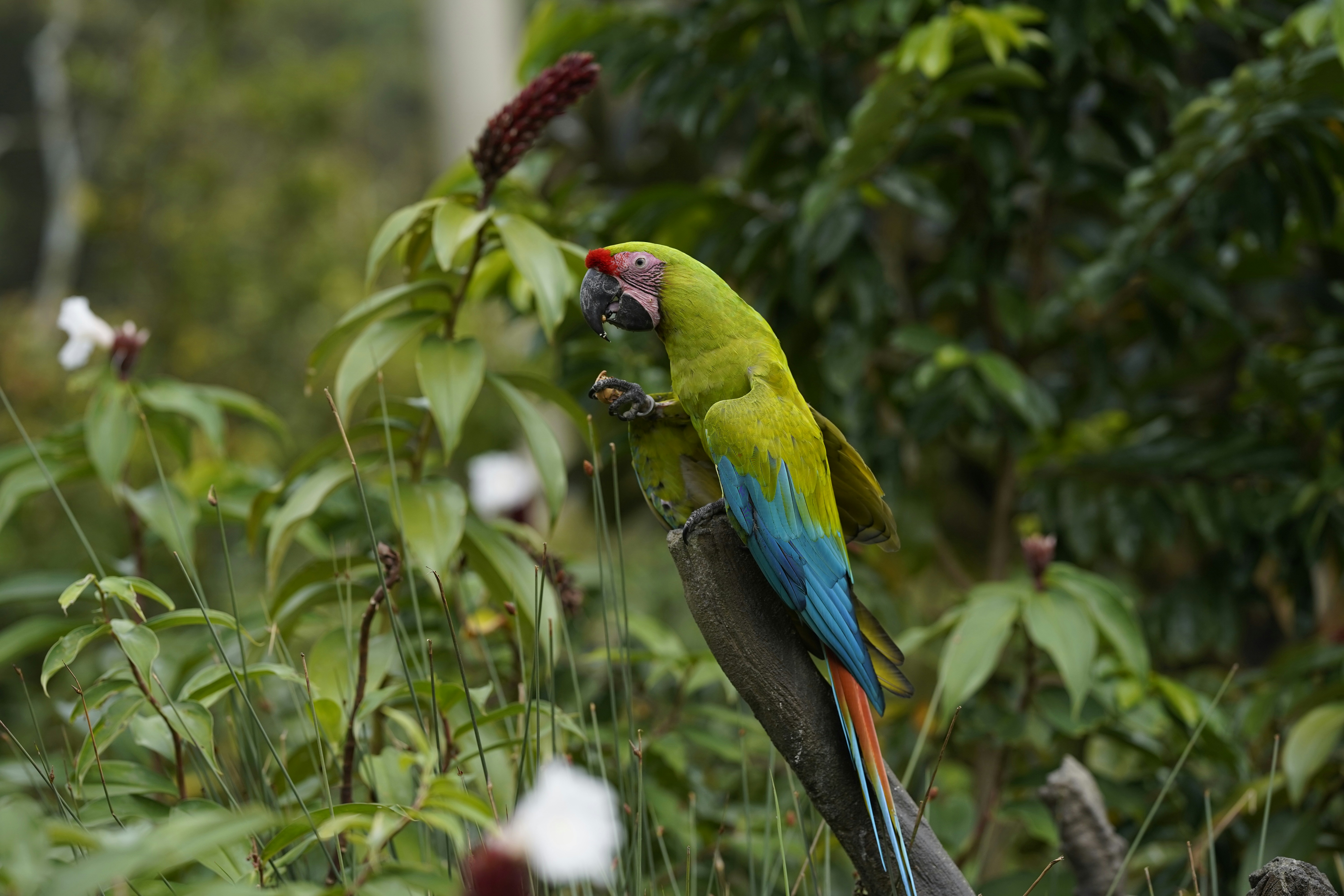 Photo by maryanntoinette