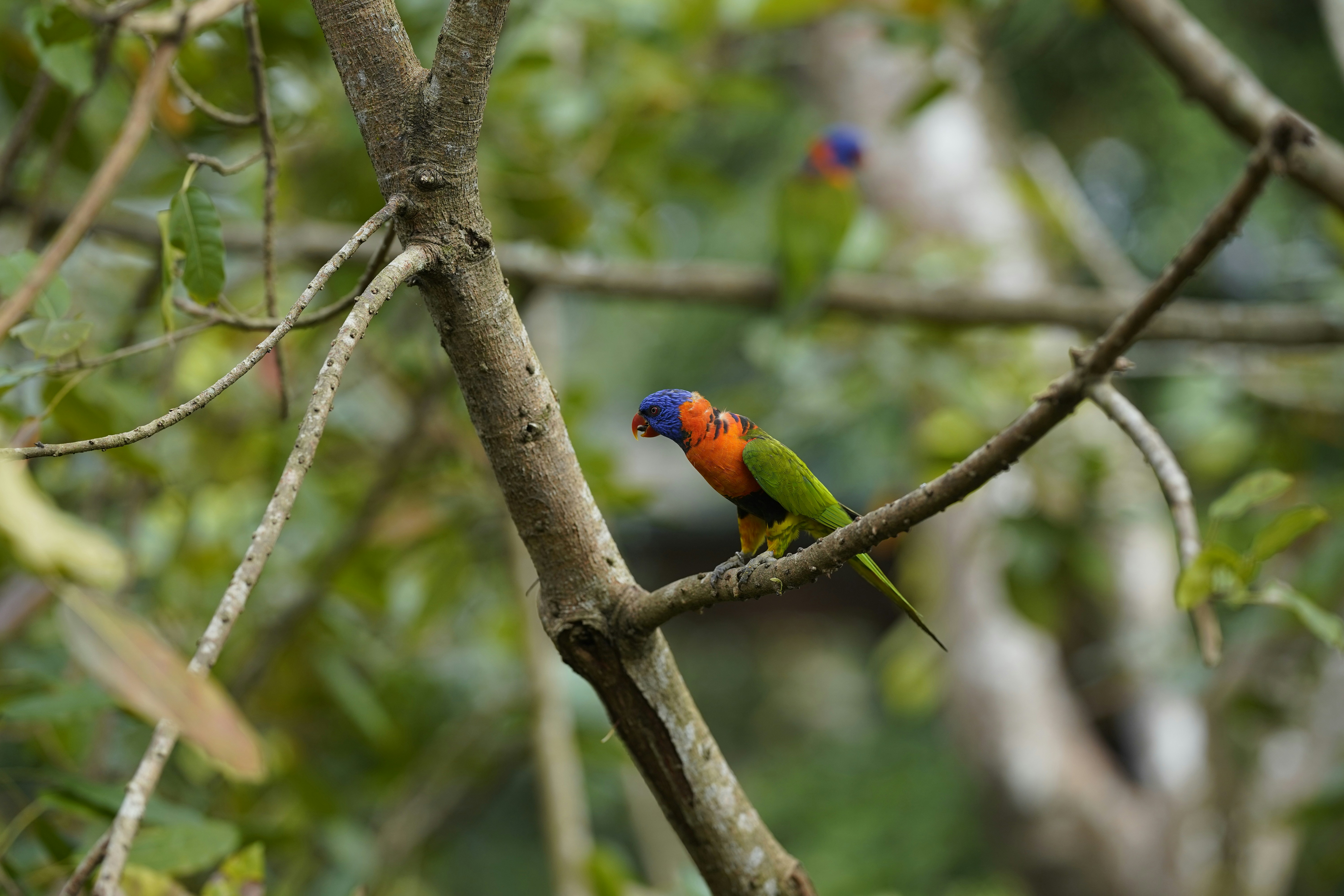 Photo by maryanntoinette