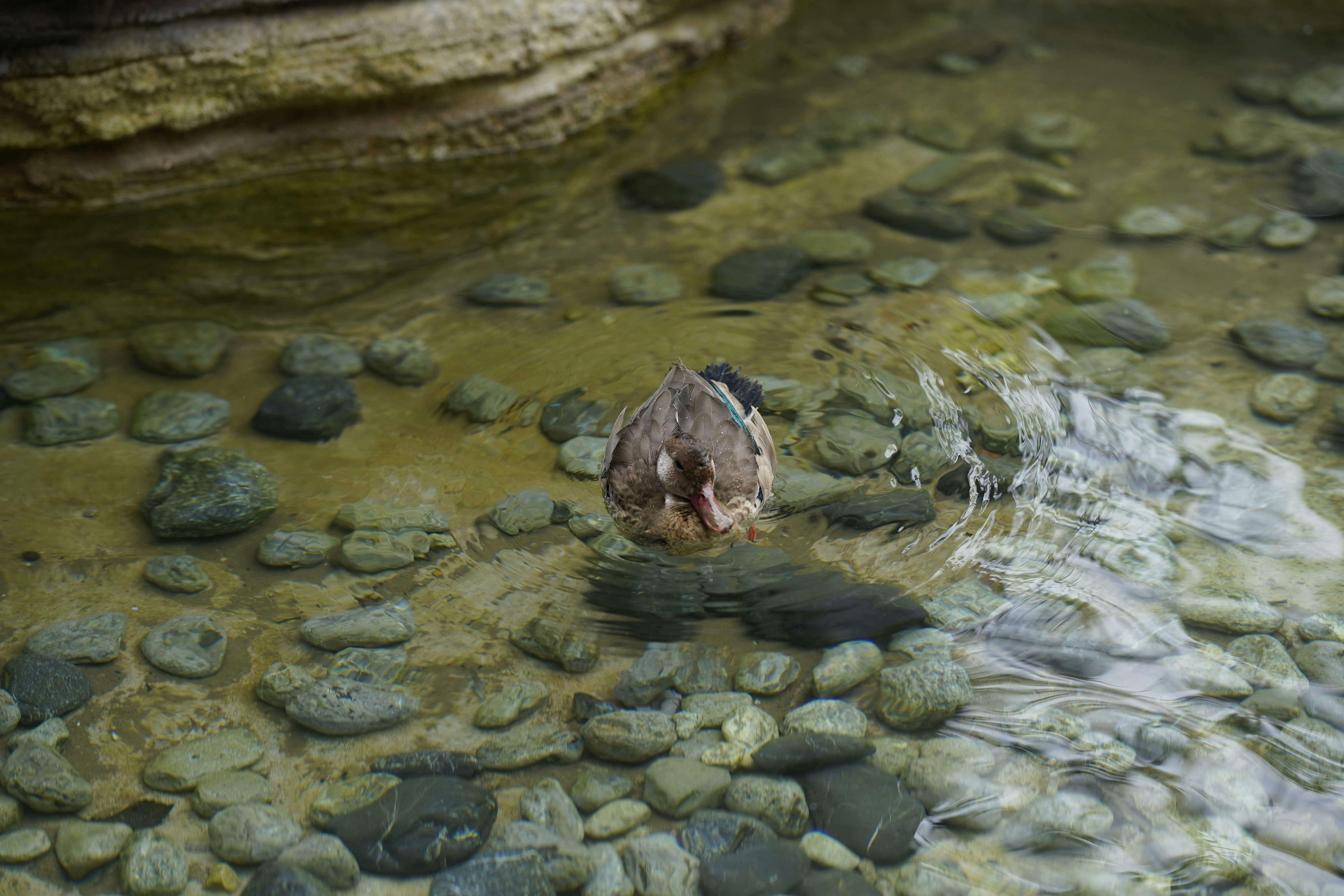 Photo by maryanntoinette