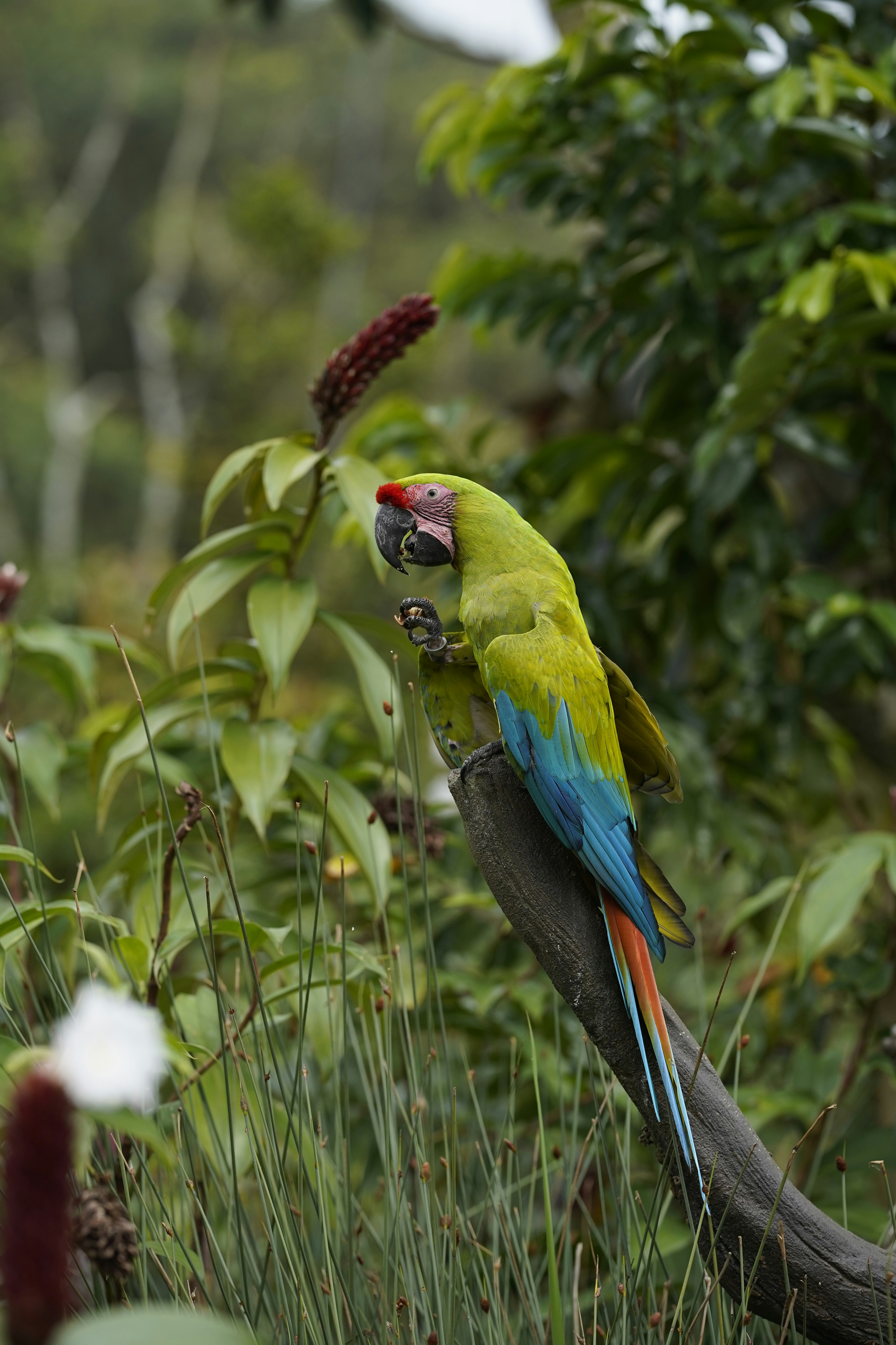 Photo by maryanntoinette