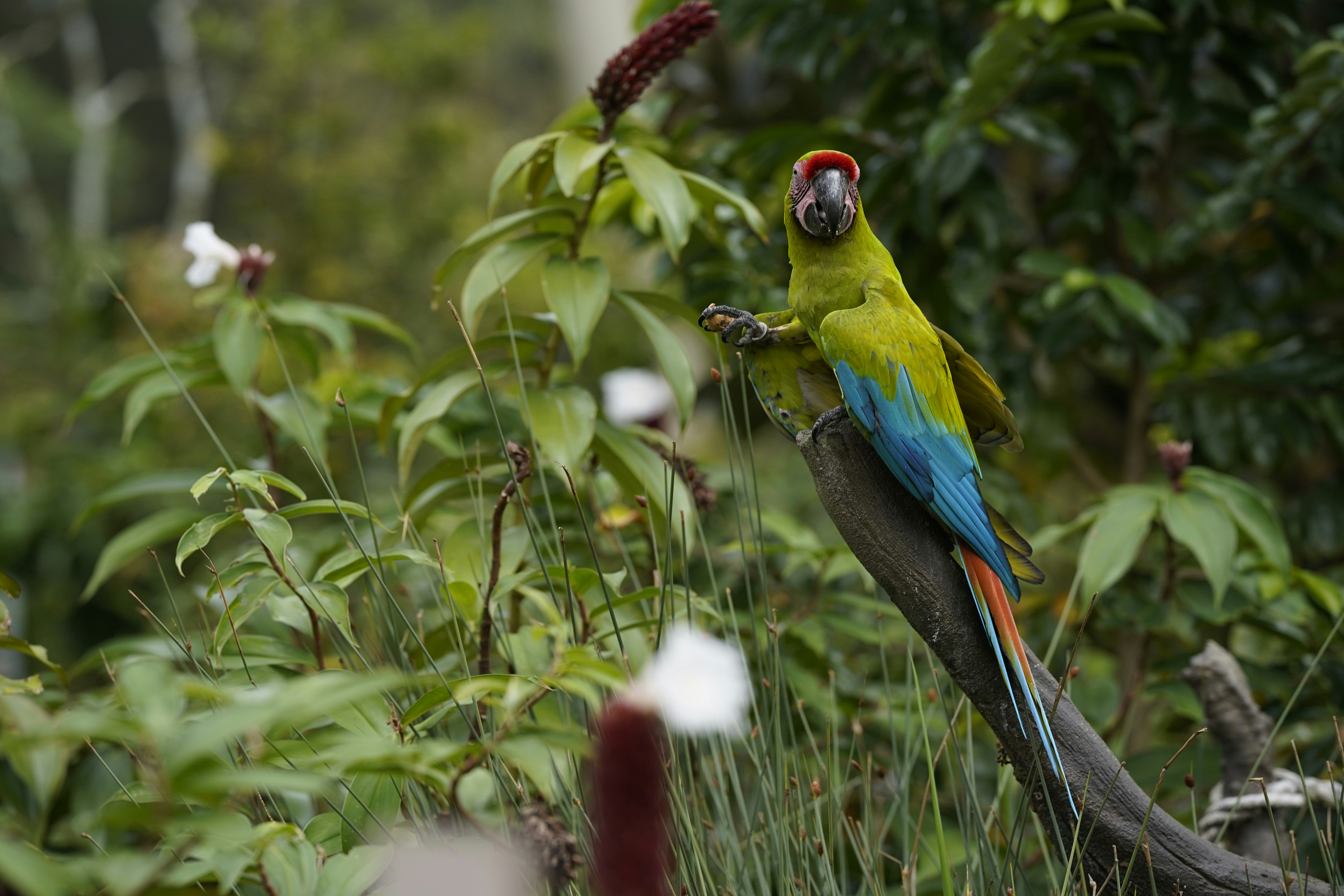 Photo by maryanntoinette