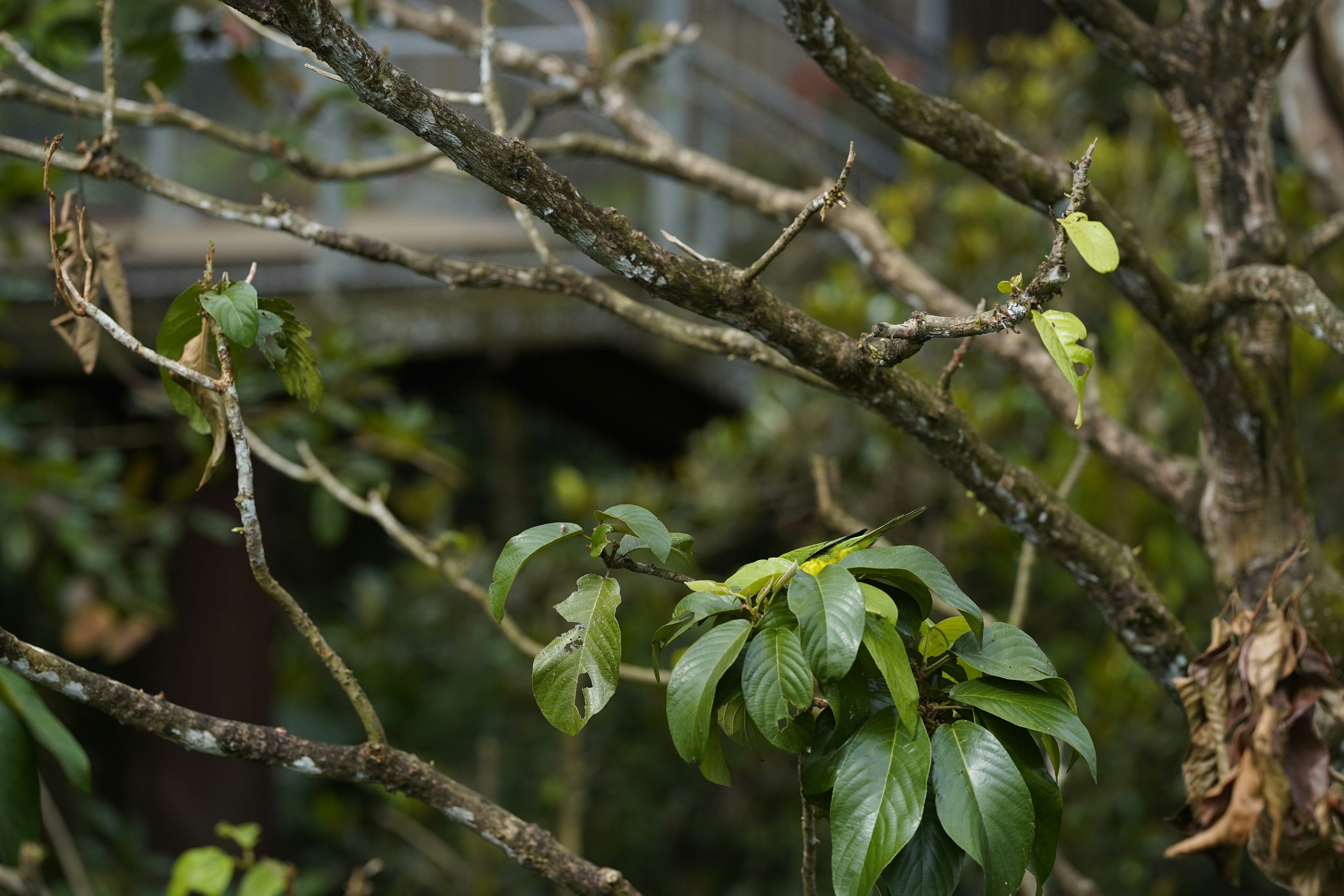 Photo by maryanntoinette