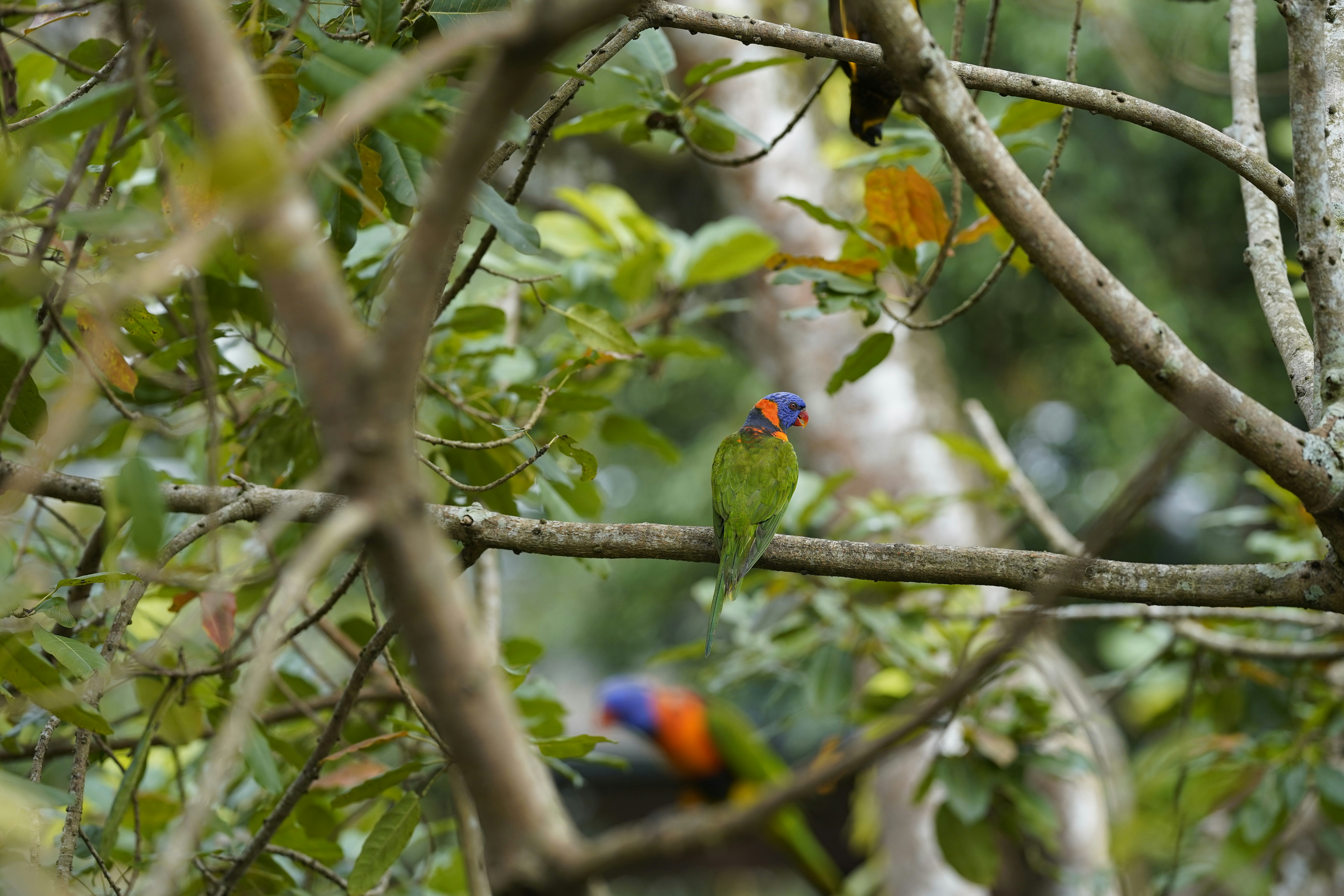 Photo by maryanntoinette