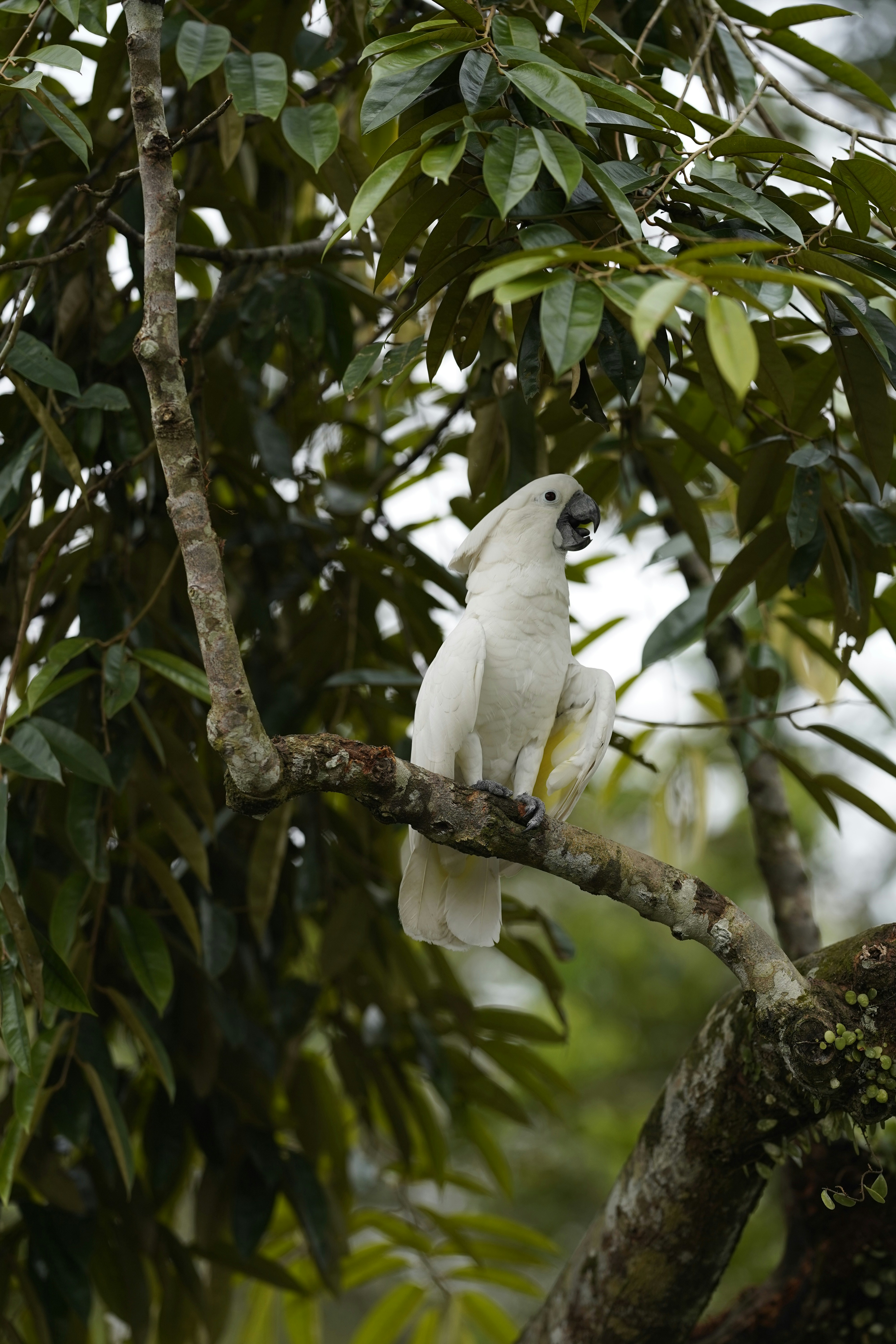 Photo by maryanntoinette