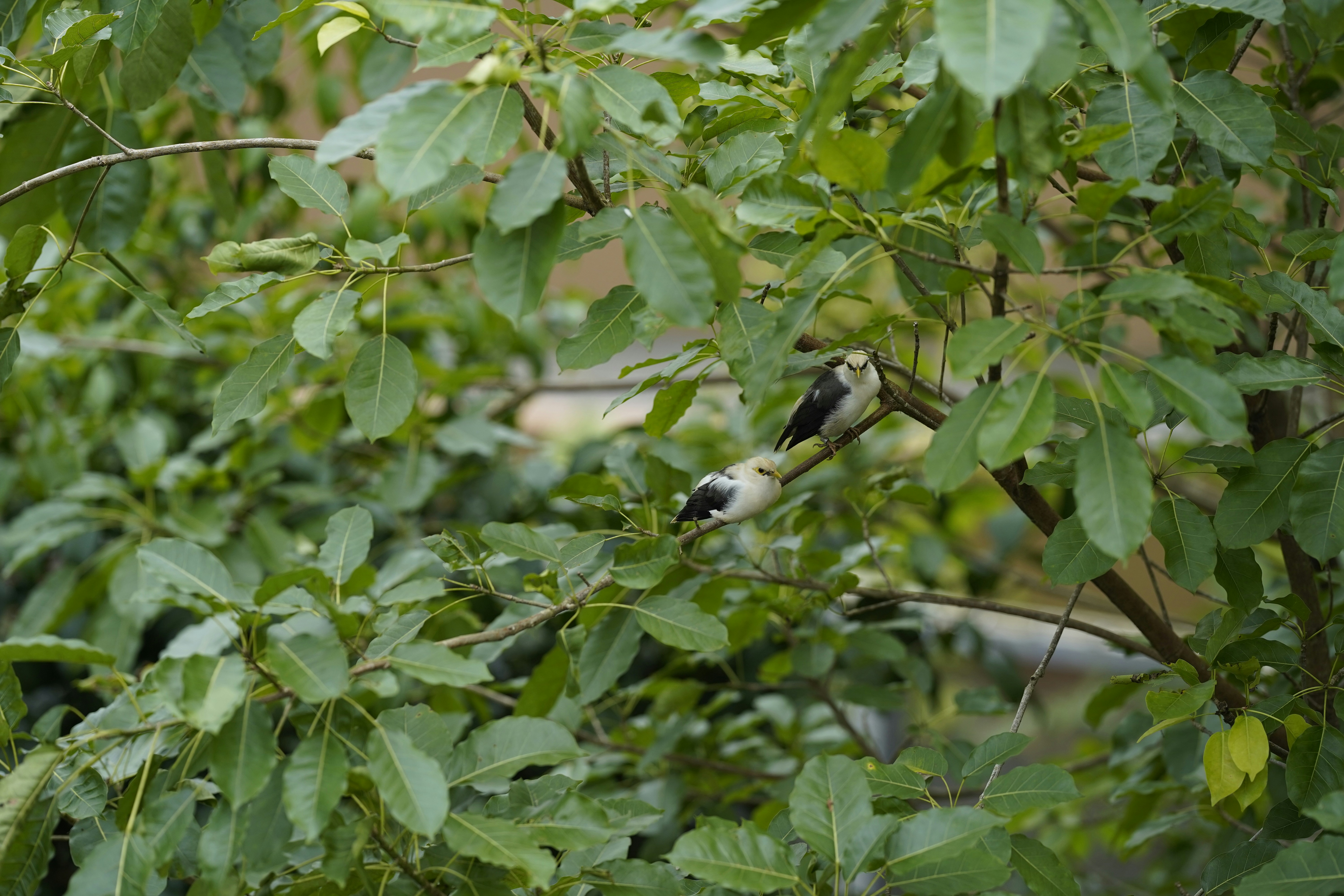 Photo by maryanntoinette