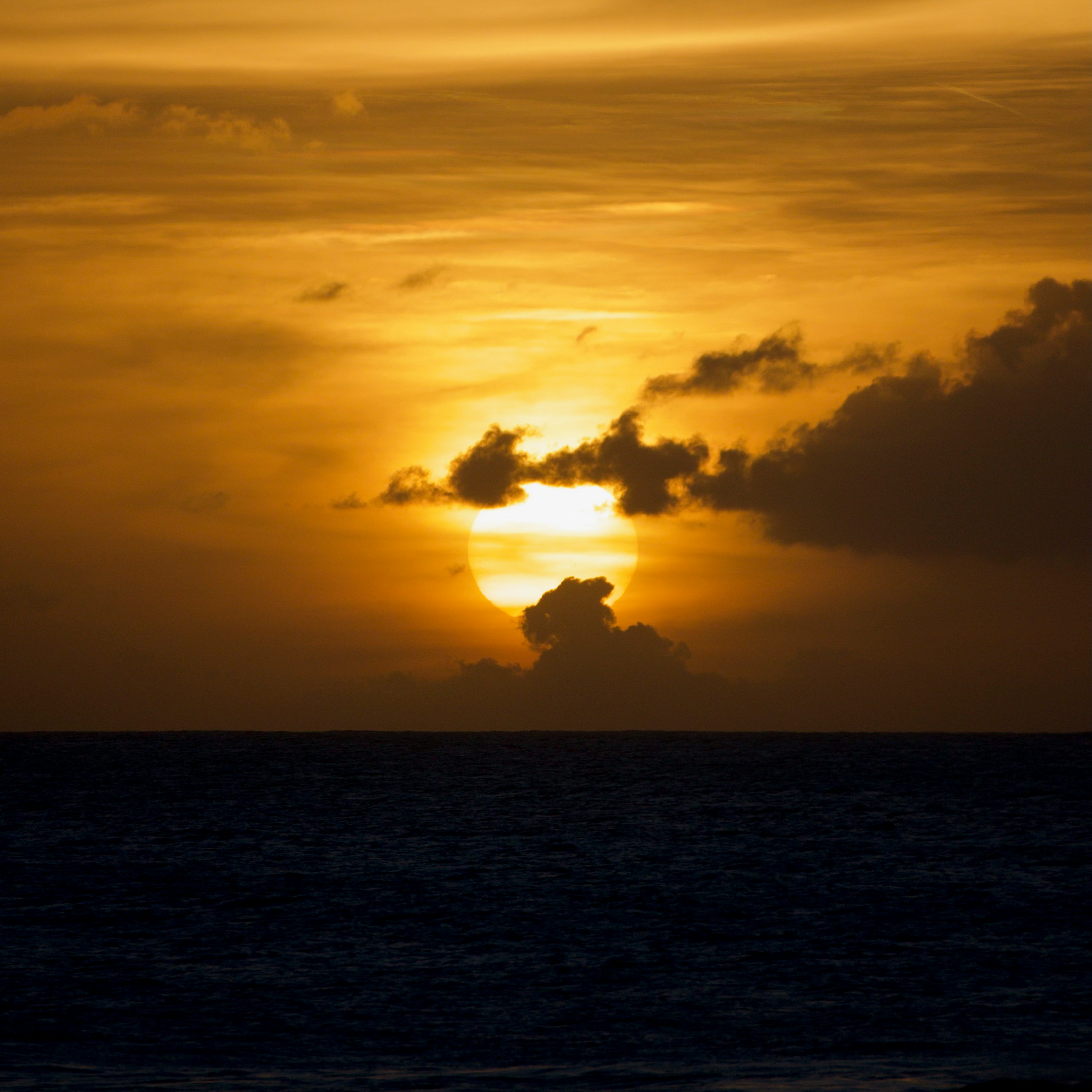 Photo by chonkyninja