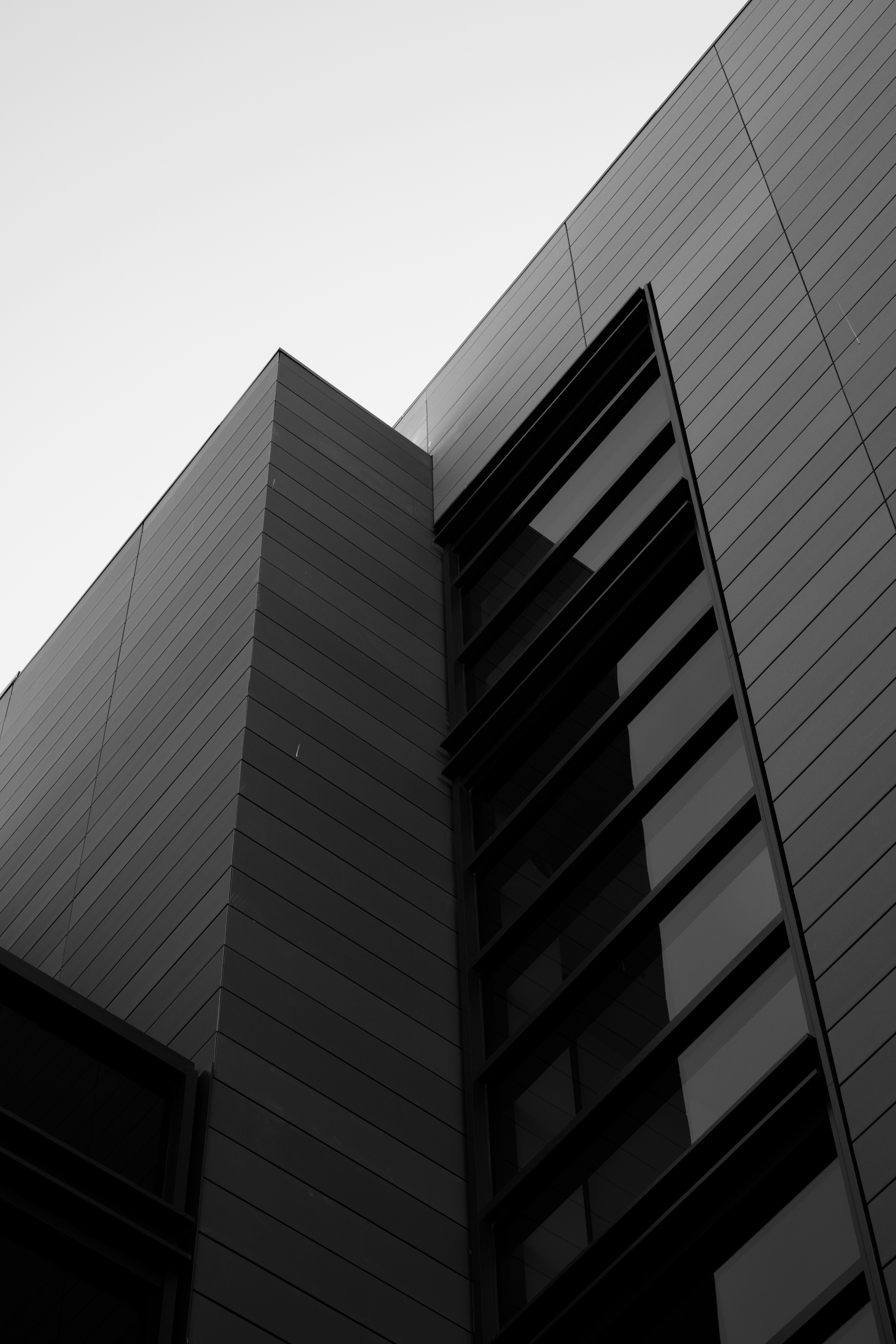 Photo by chonkyninja