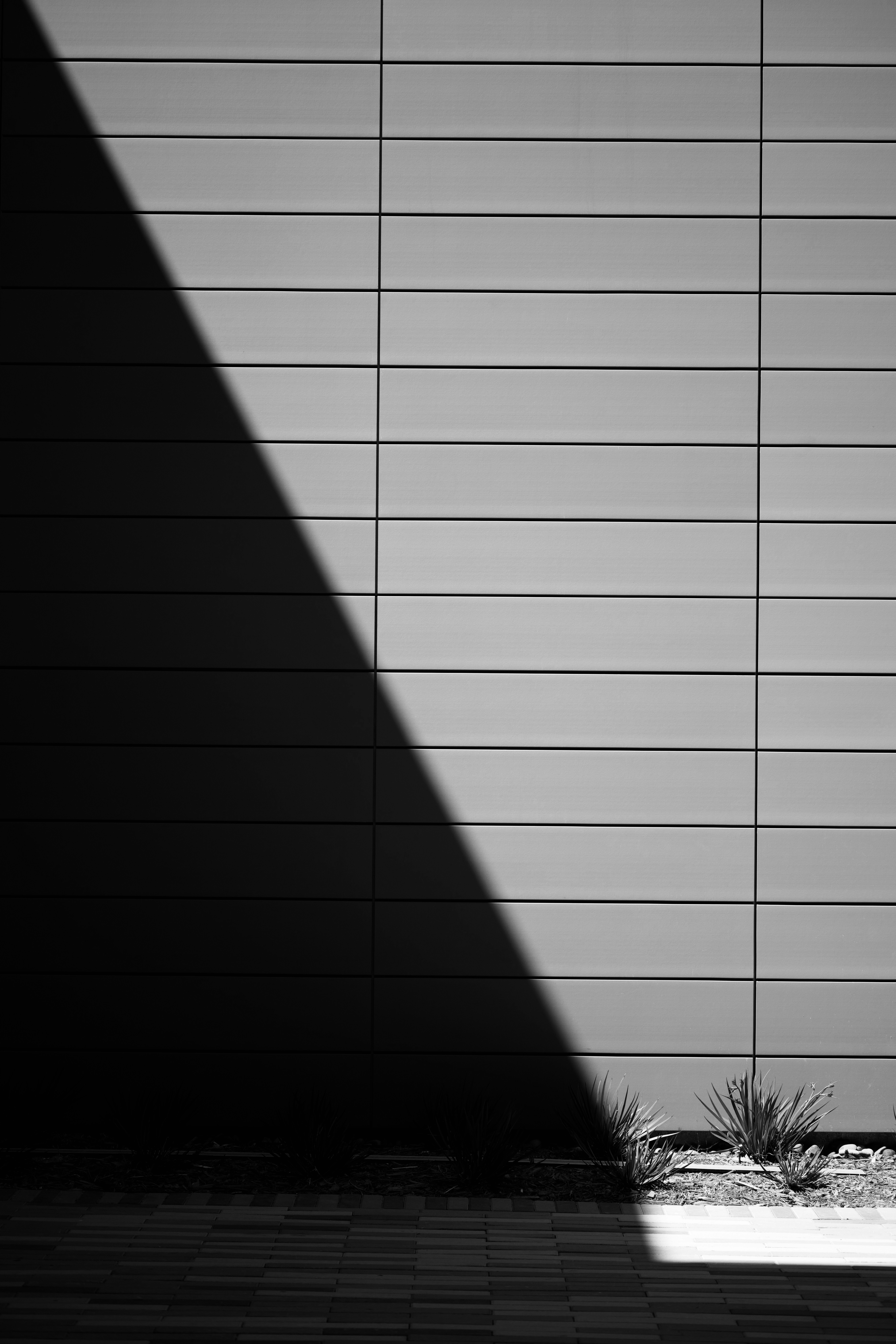 Photo by chonkyninja