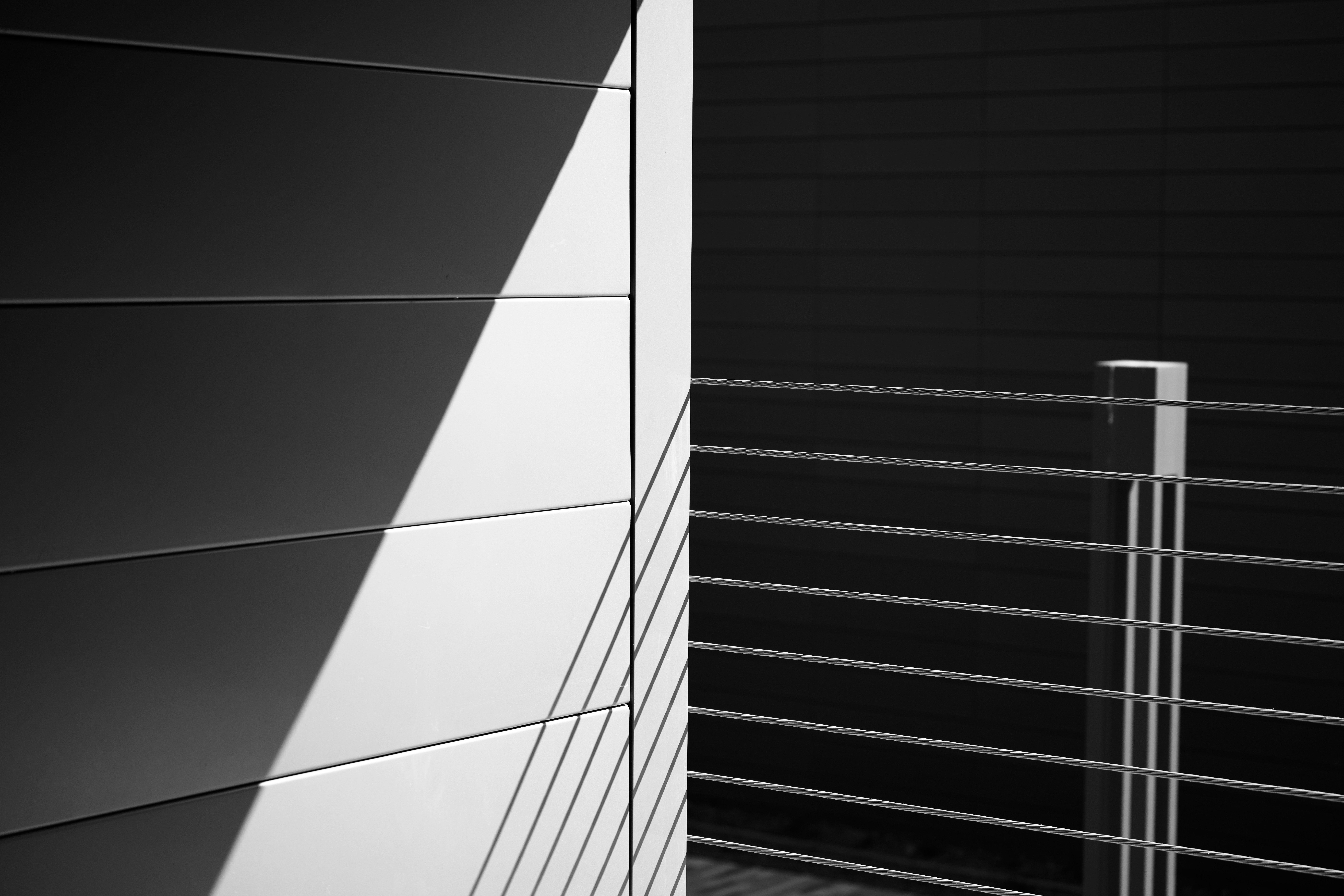 Photo by chonkyninja