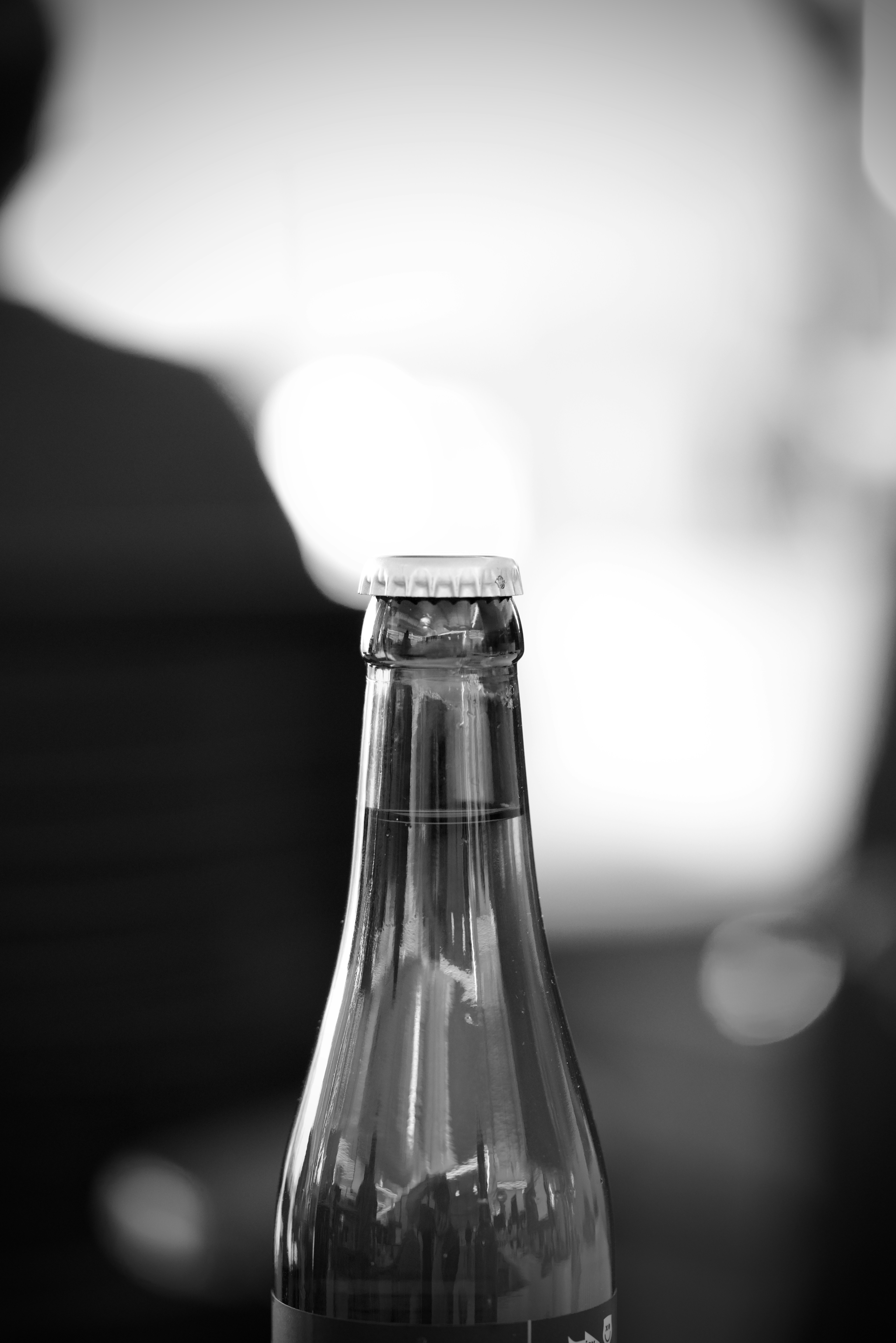 Photo by chonkyninja