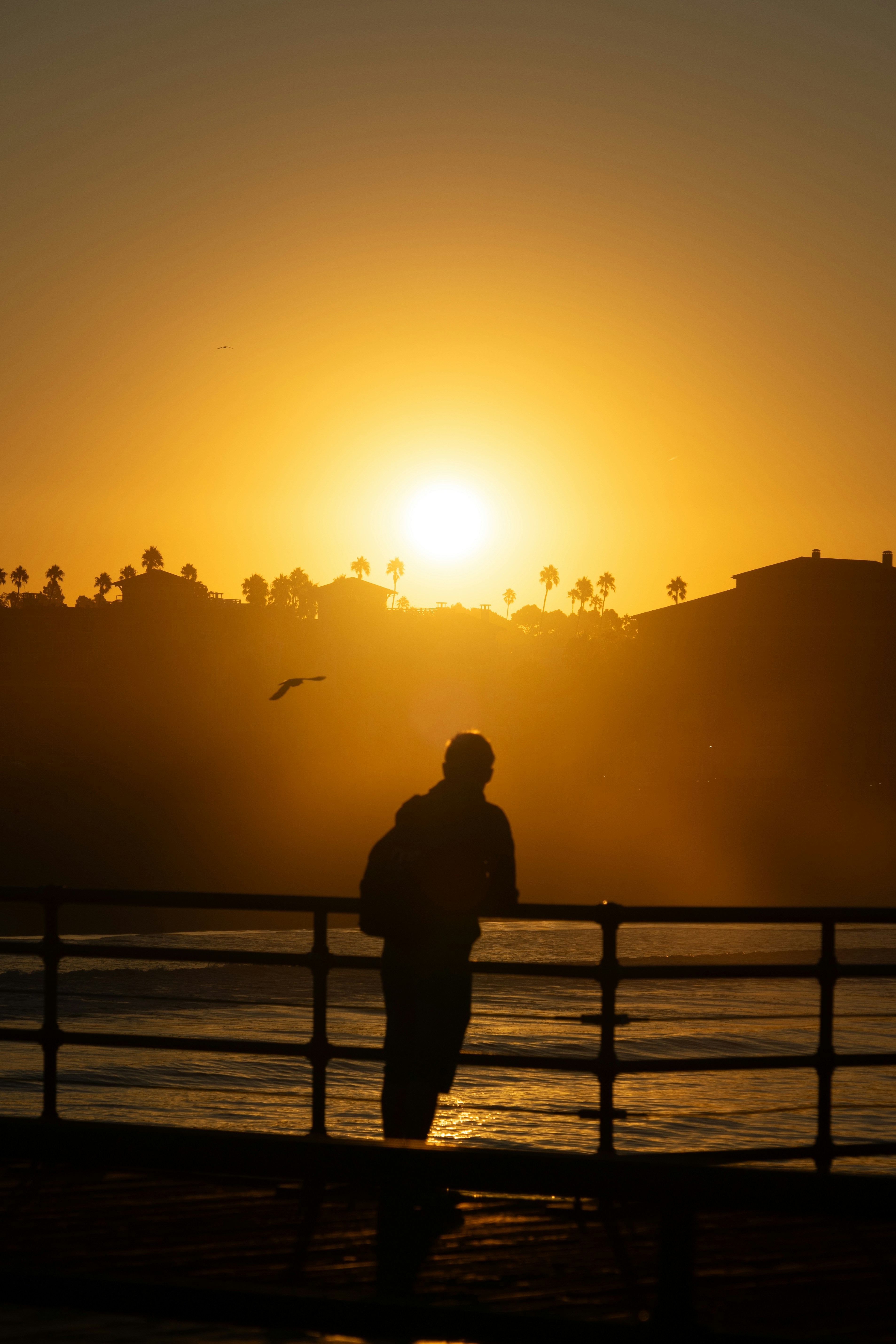 A person standing on a pier watching the sun go down