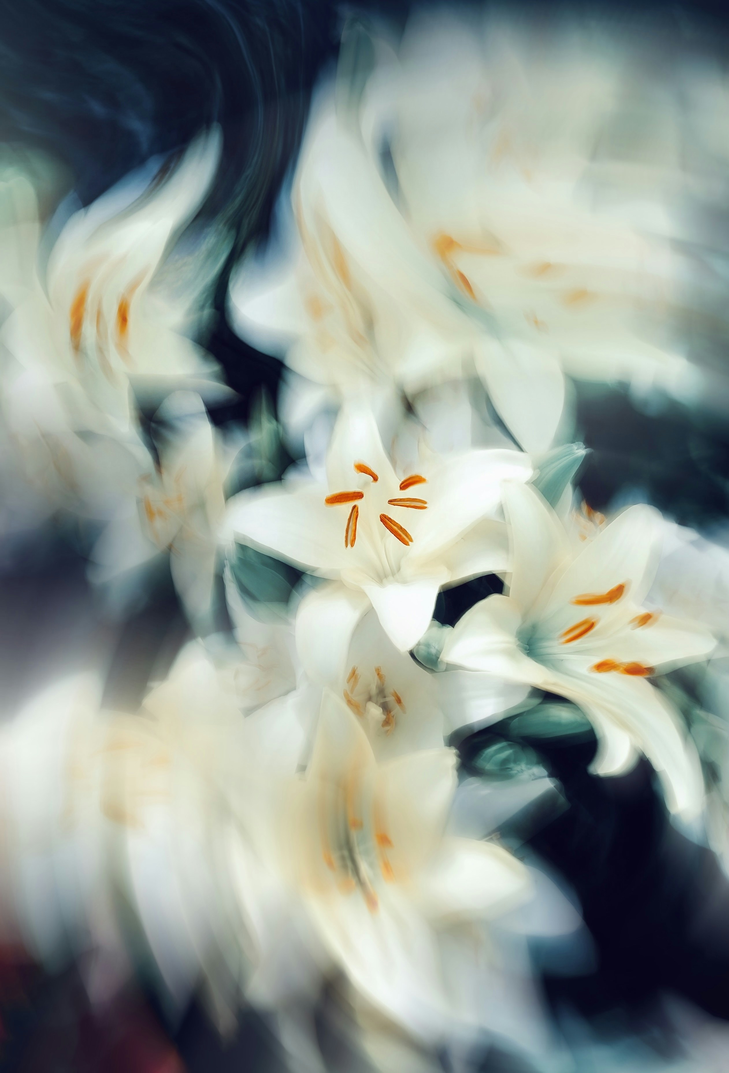 Photo by eugene_golovesov