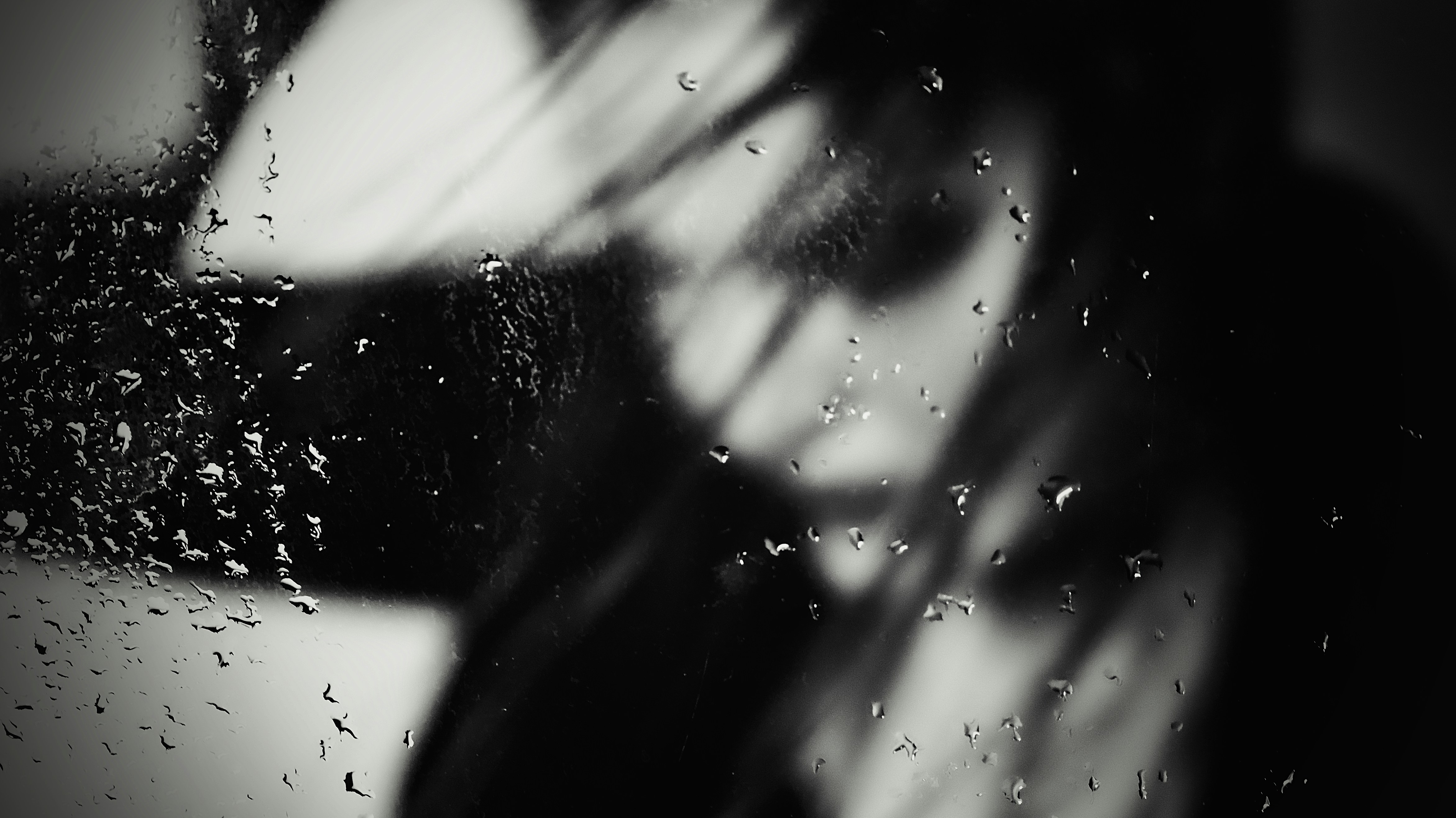 Photo by christiangafenesch