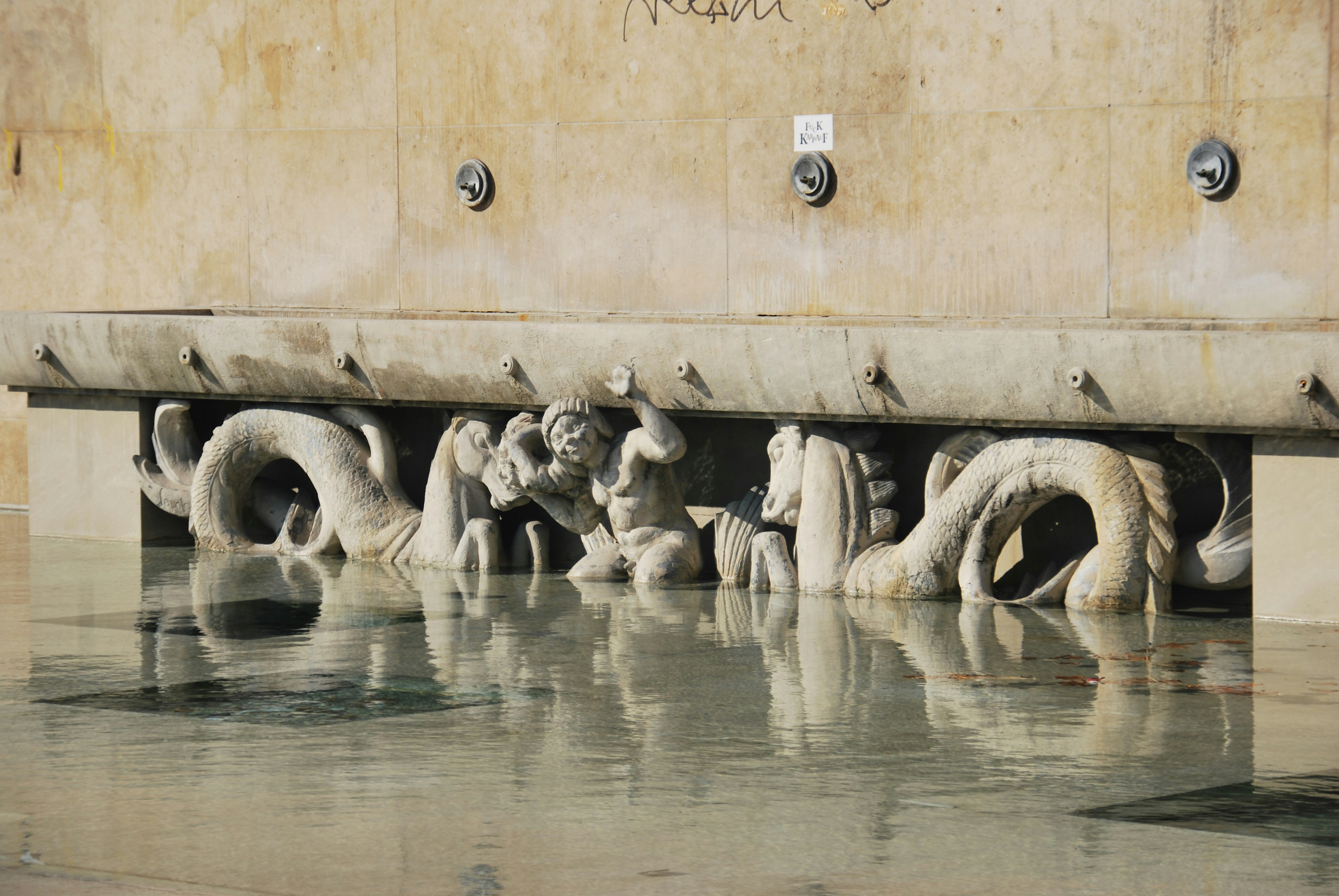 trip gallery picture