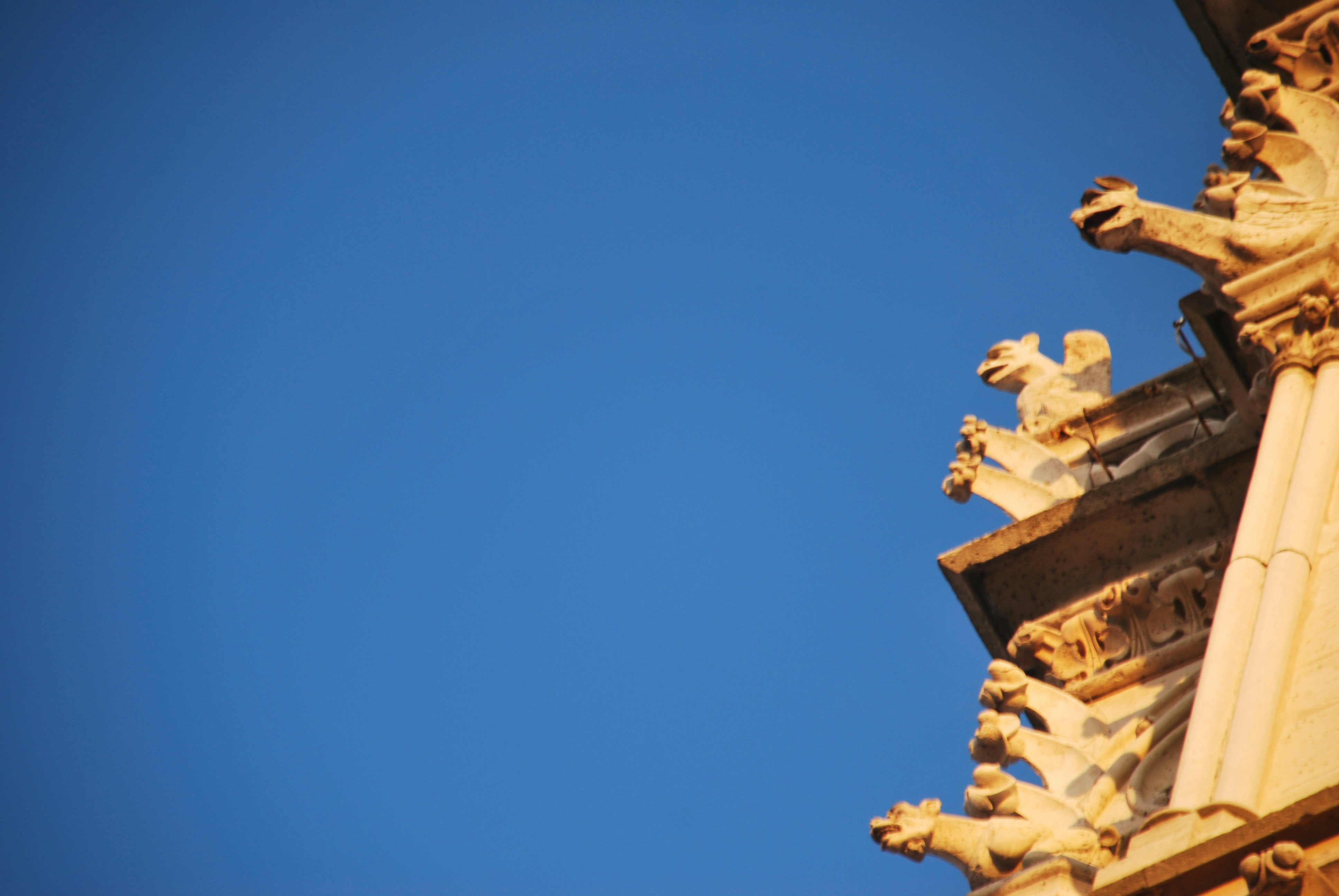 trip gallery picture