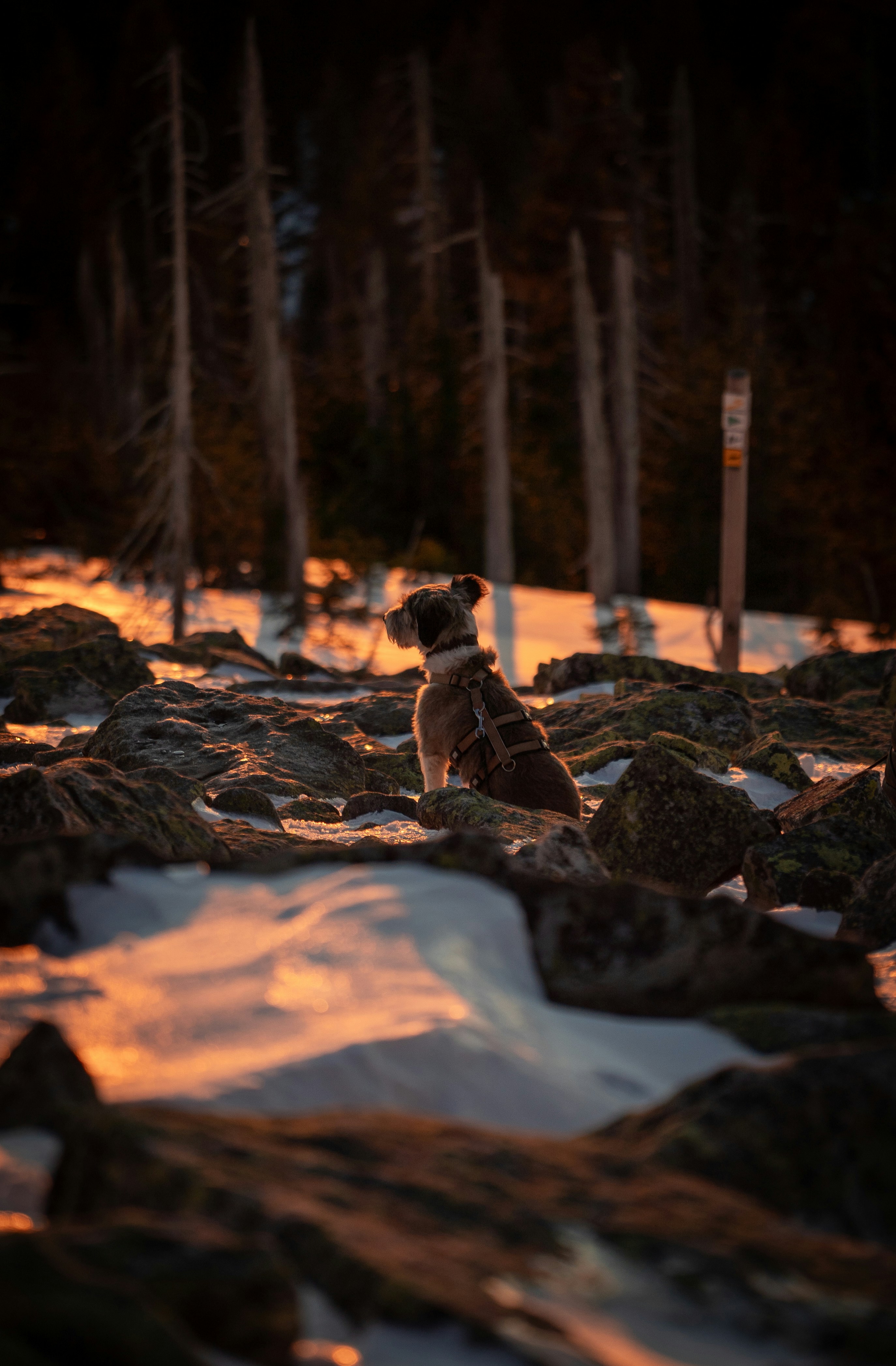 Photo by ellukas33