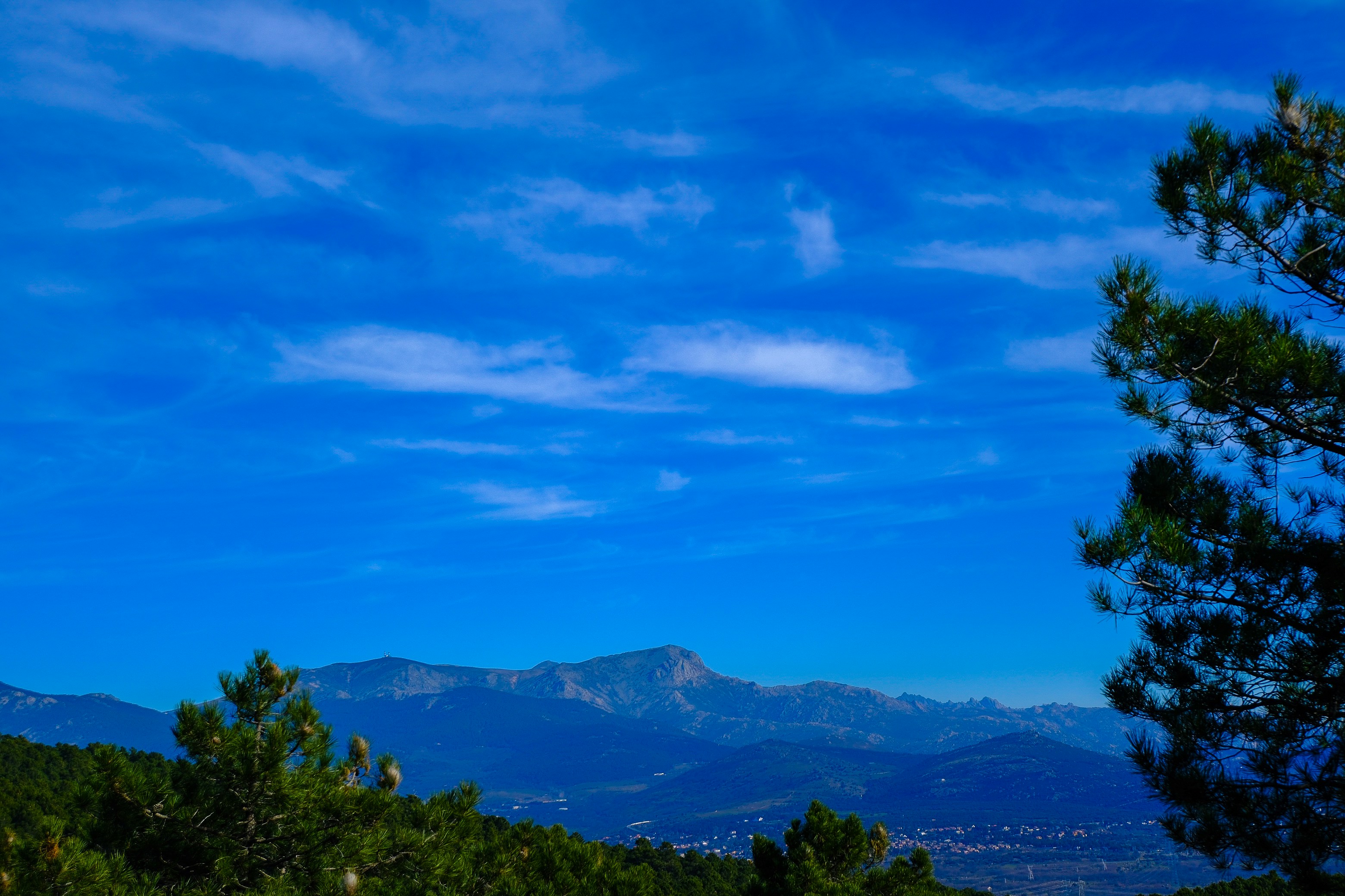 Photo by raulmermans