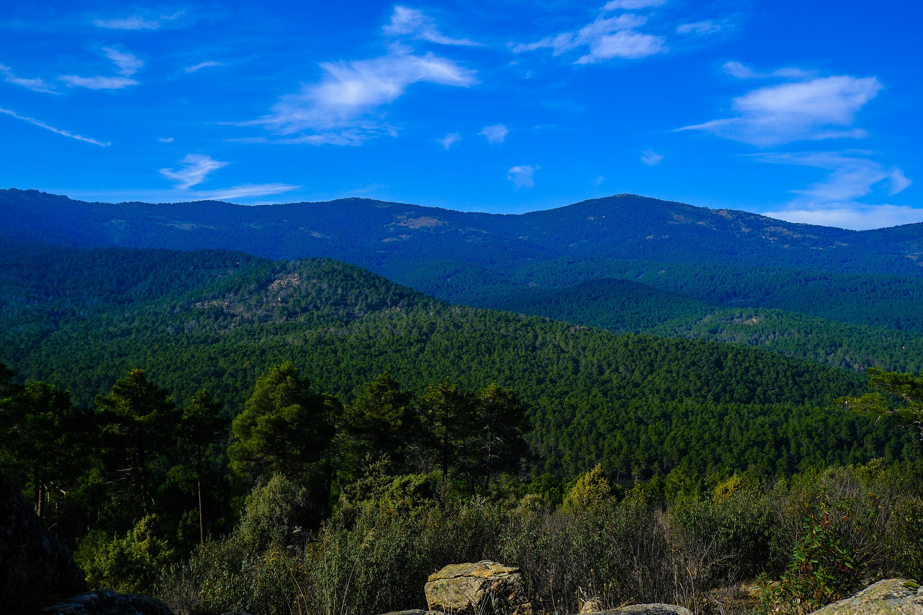 Photo by raulmermans