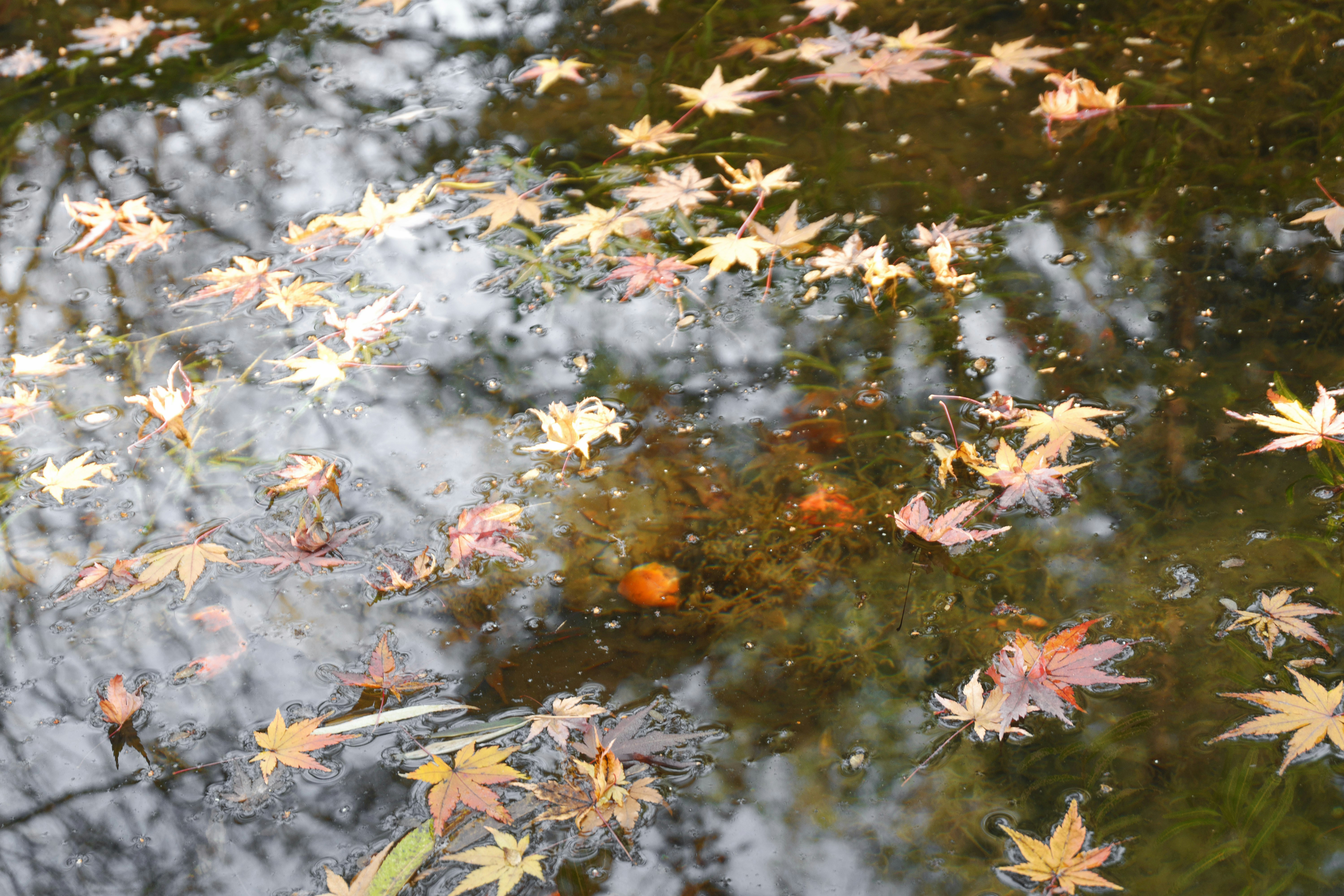 Drifting into Ontological Truth Claims