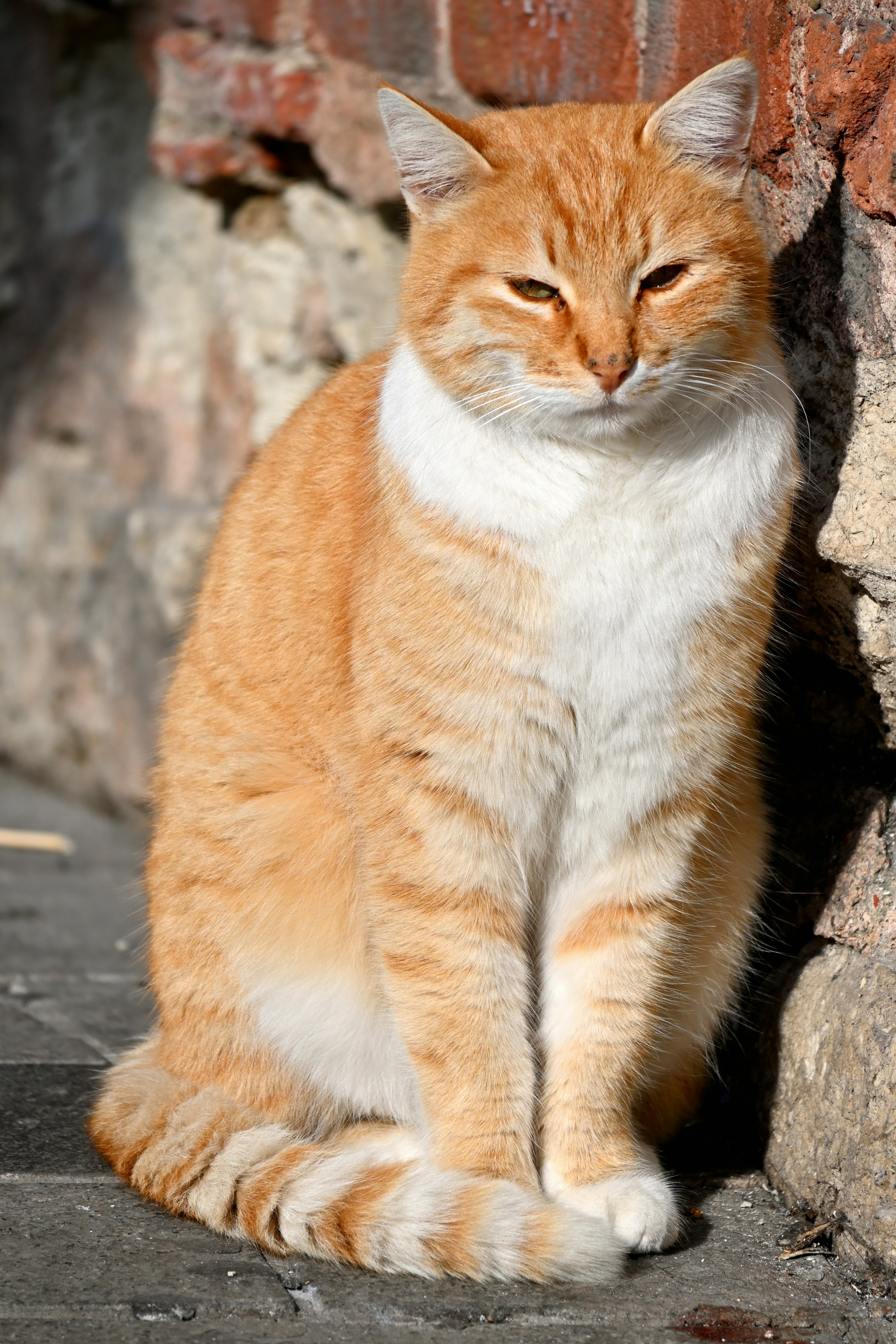 Photo by aminzabardast