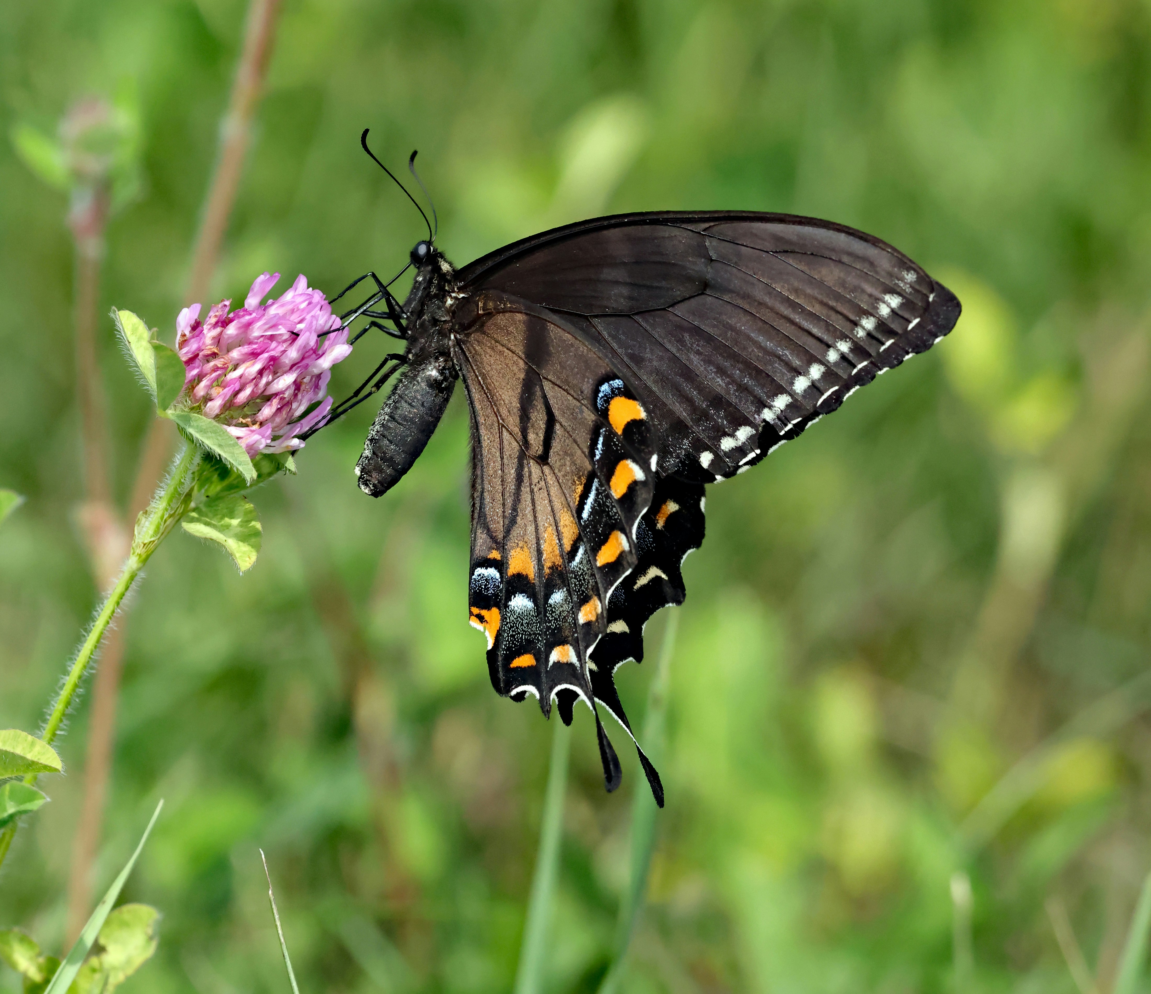 Photo by telliottmbamsc