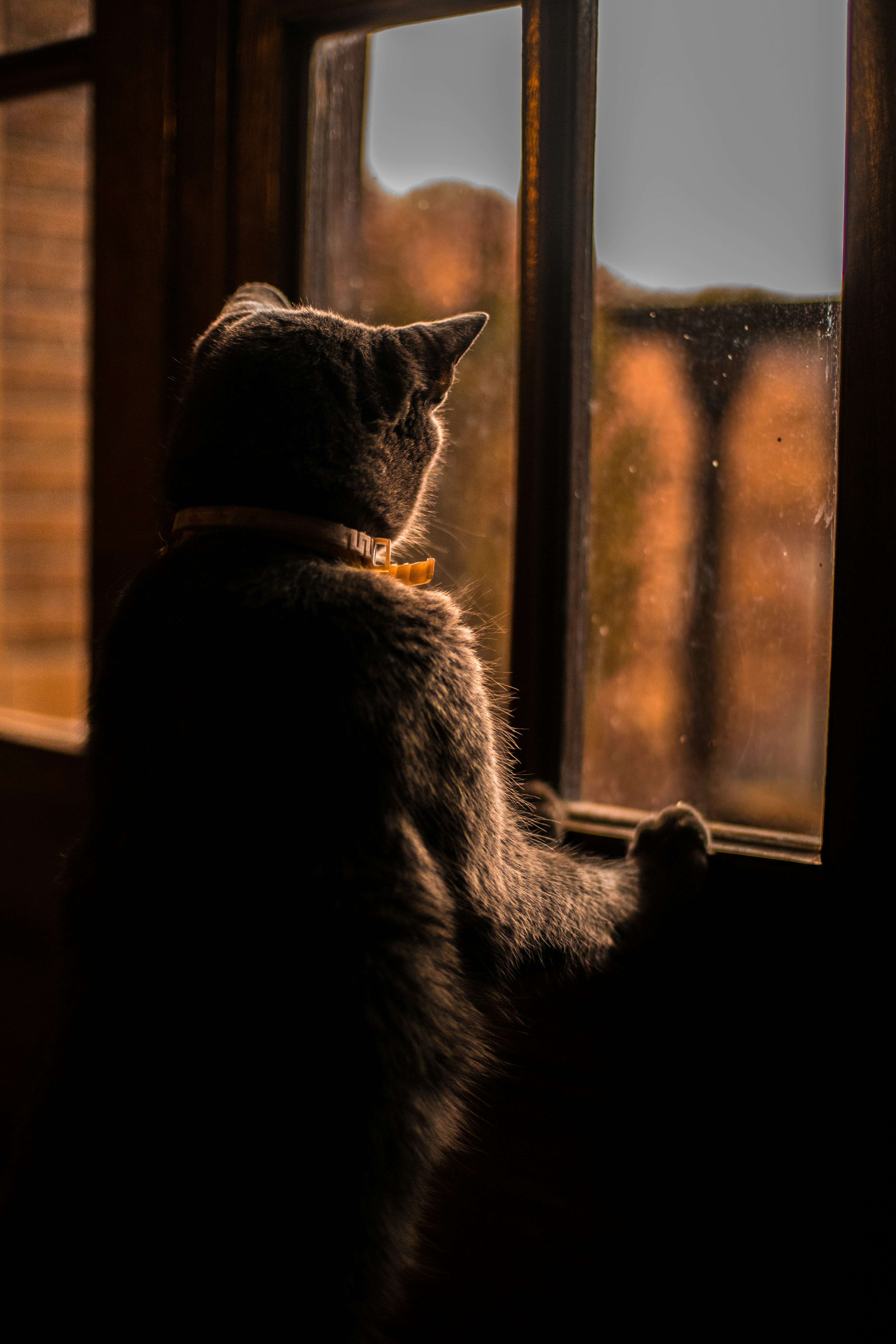 Photo by luku_muffin