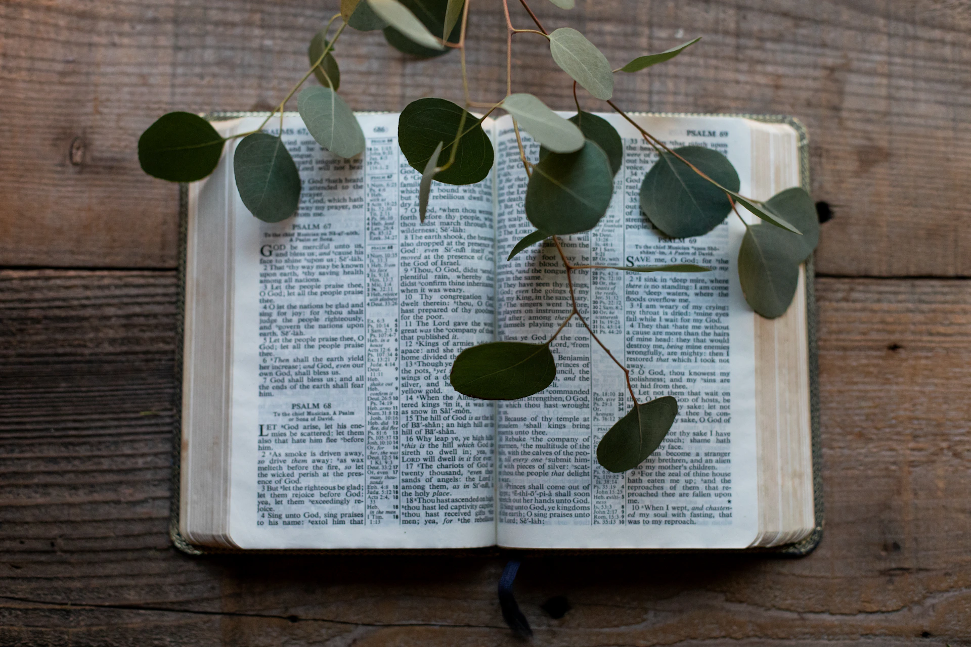 A book with a bunch of leaves on top of it