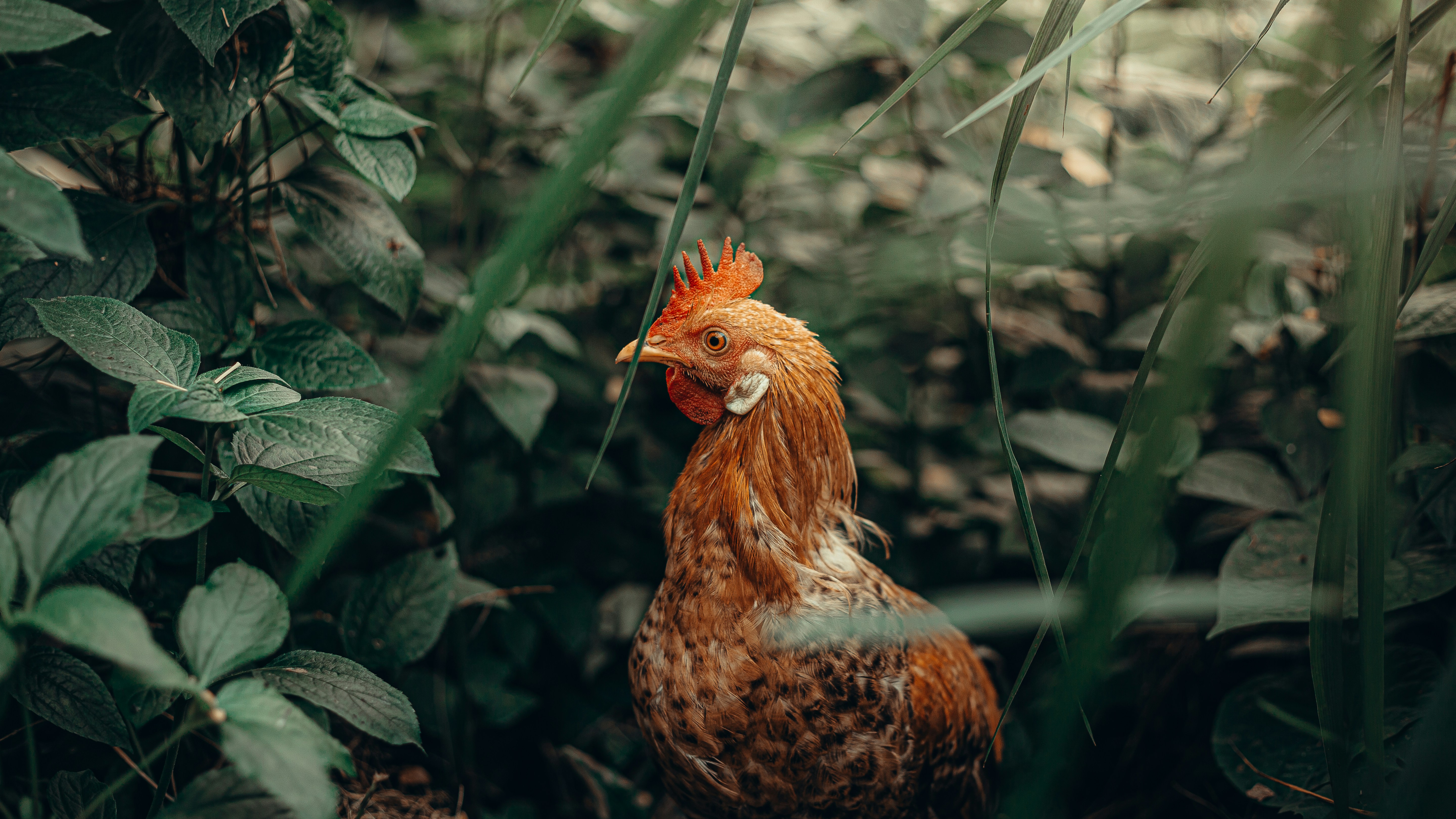 Photo by jealife_pictures