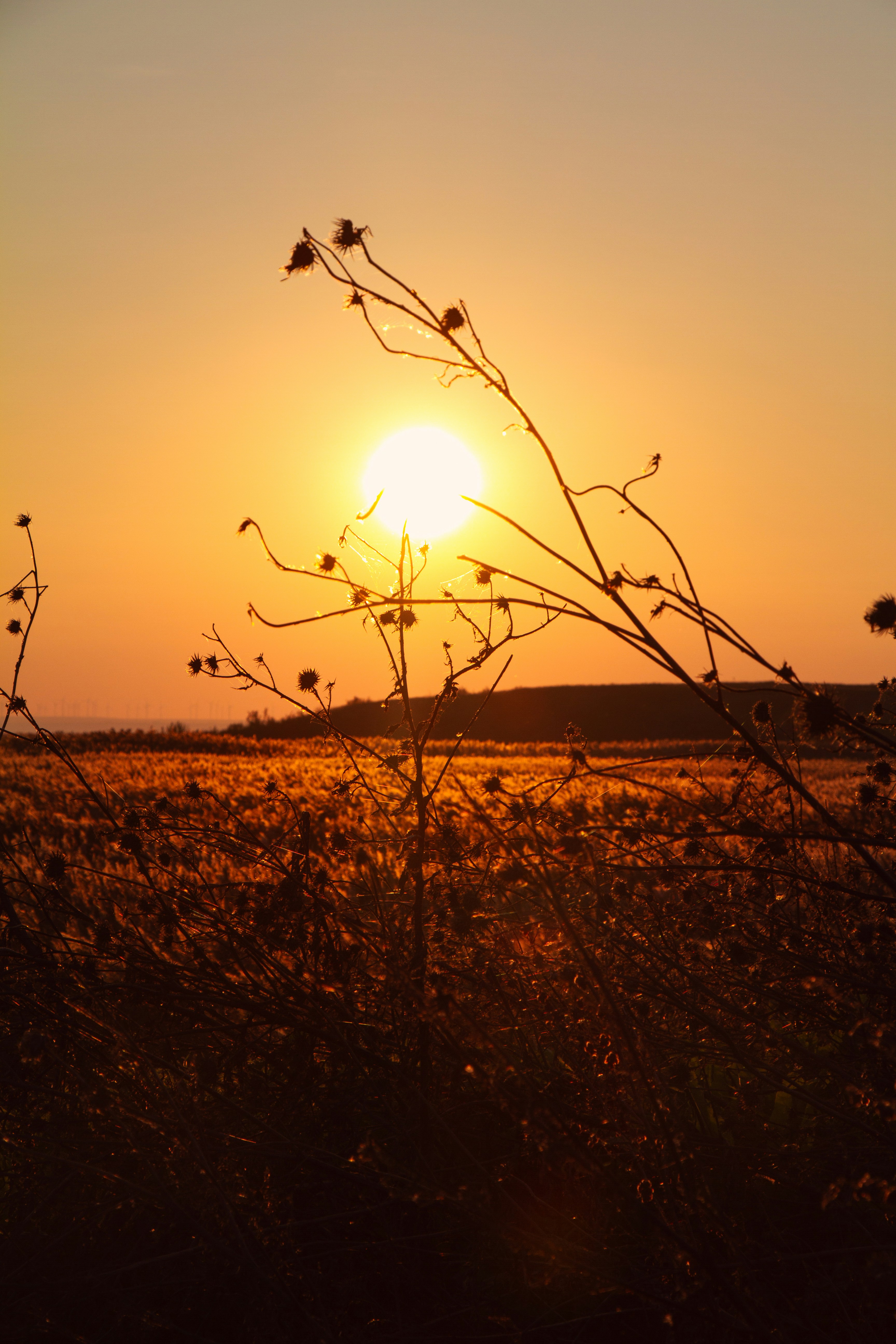 Photo by evamariabalan