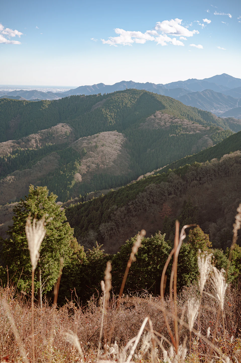 Mountain range with lush greenery and fluffy white clouds against a clear blue sky