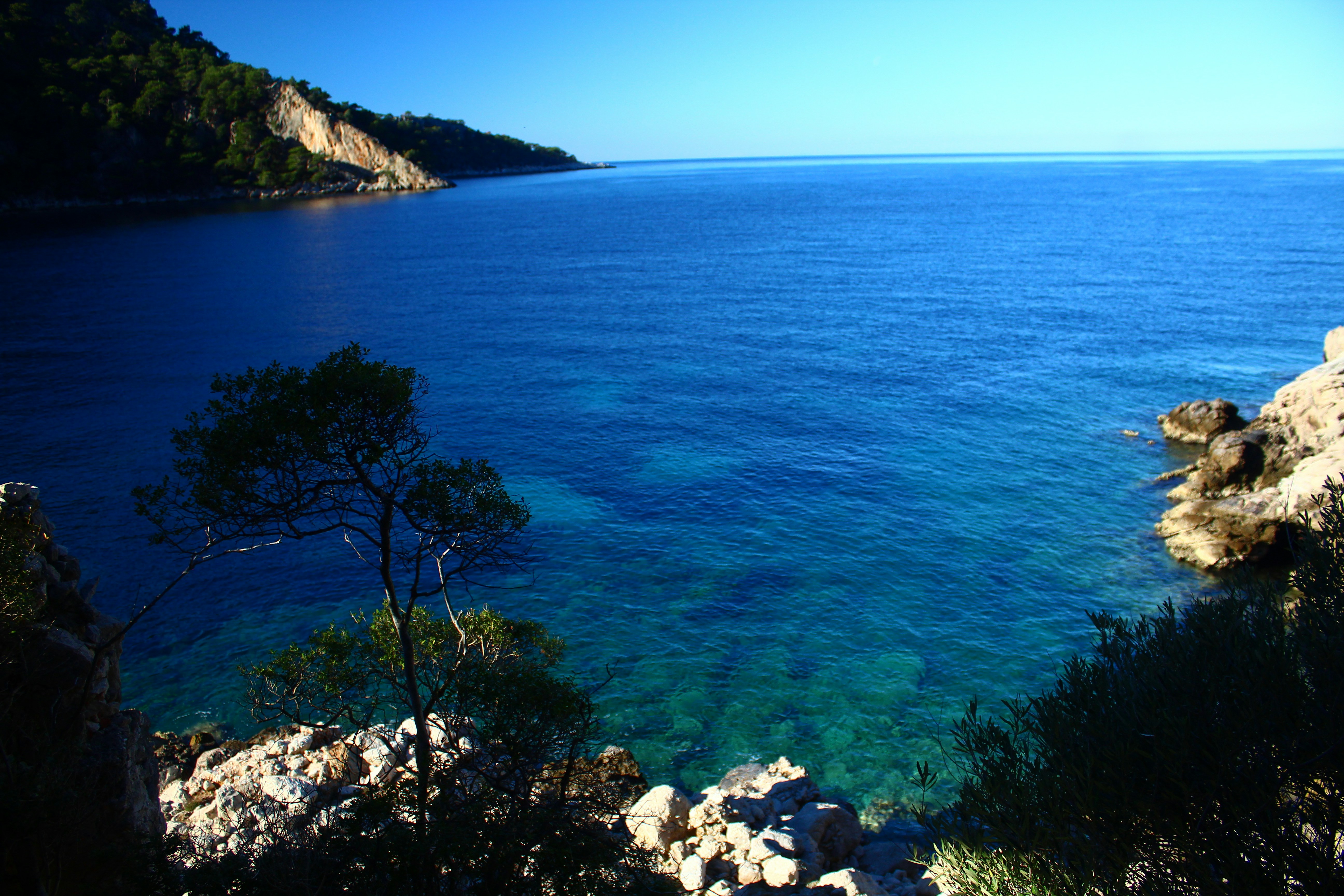A body of water surrounded by trees and rocks