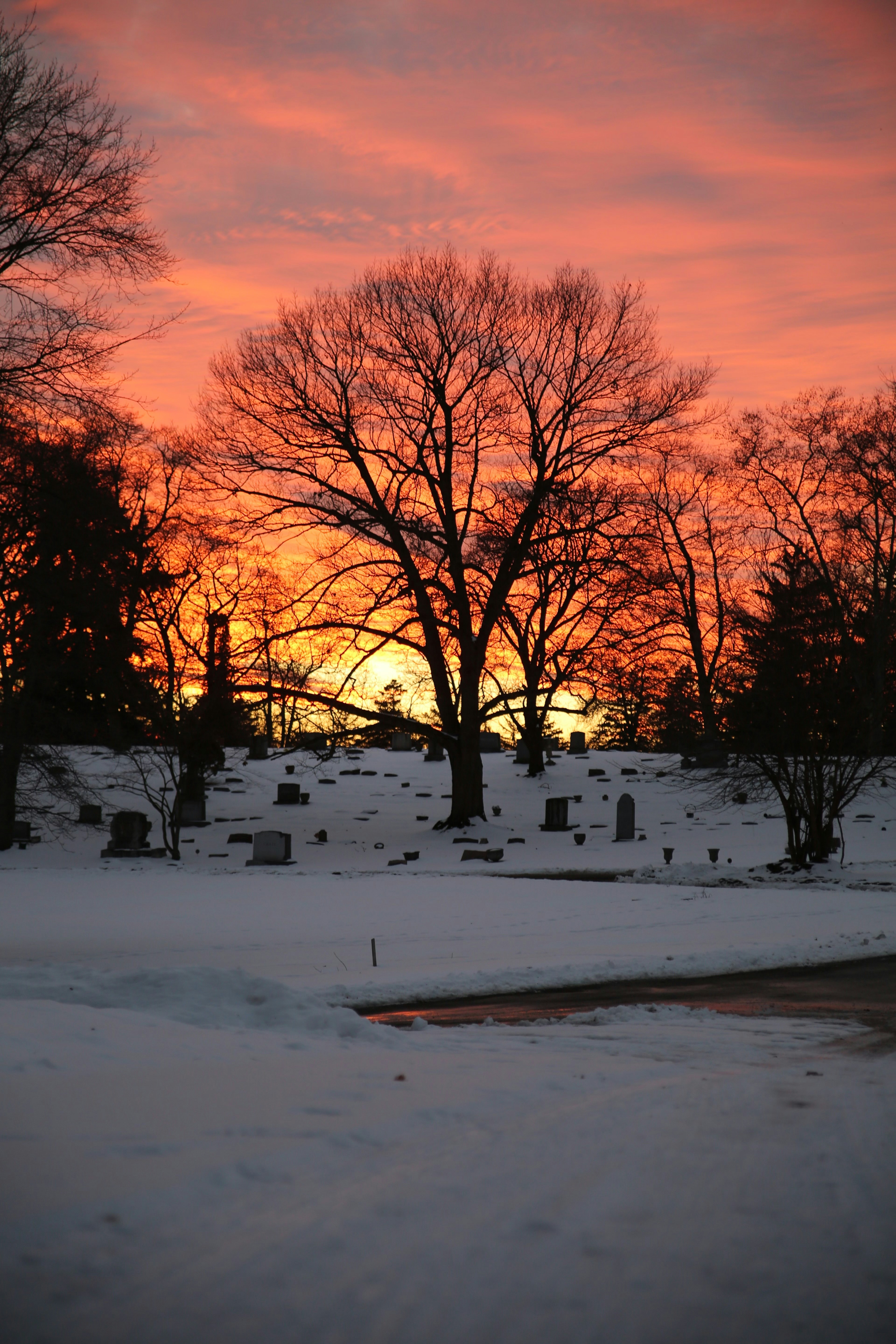 Photo by micaiahlane