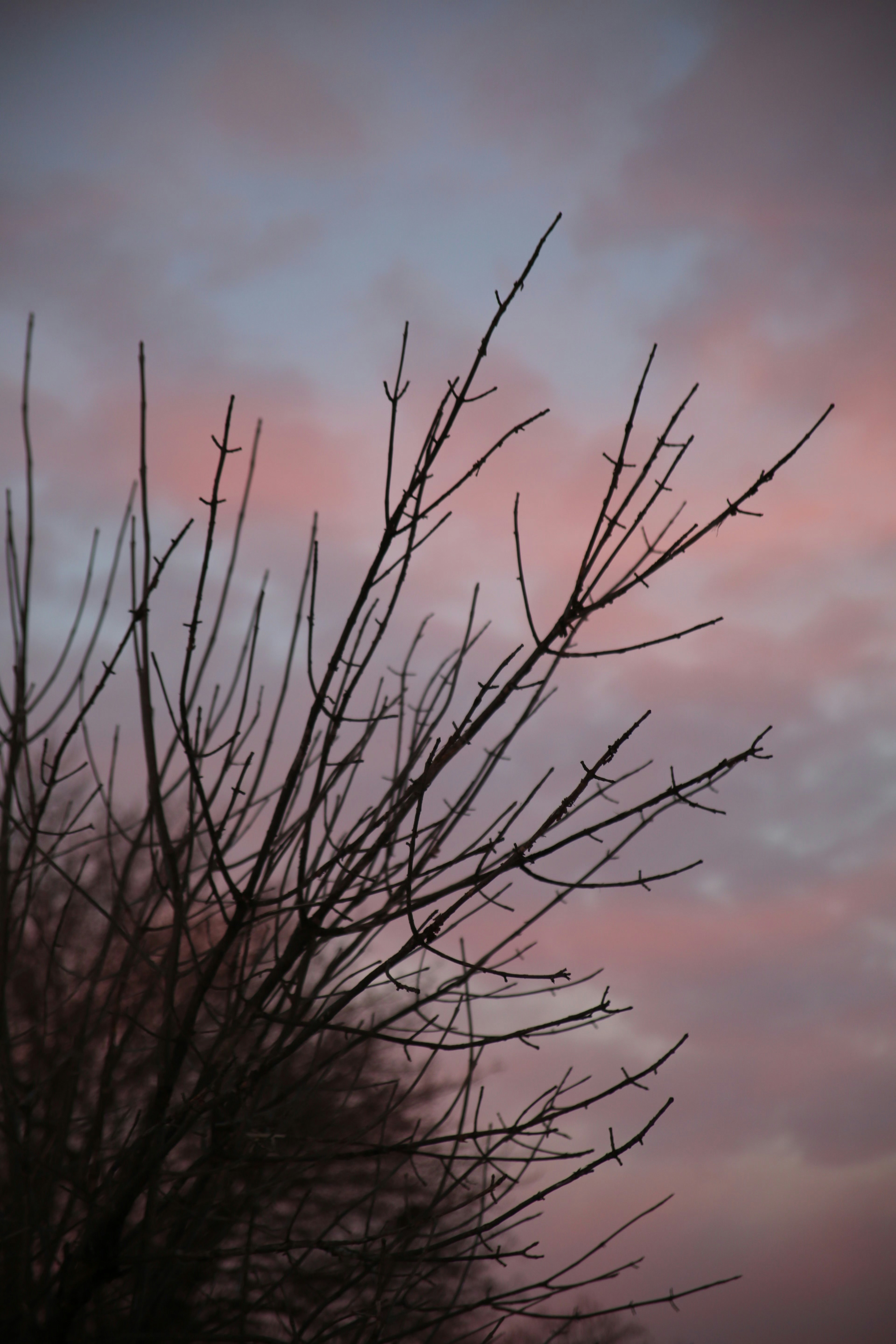 Photo by micaiahlane