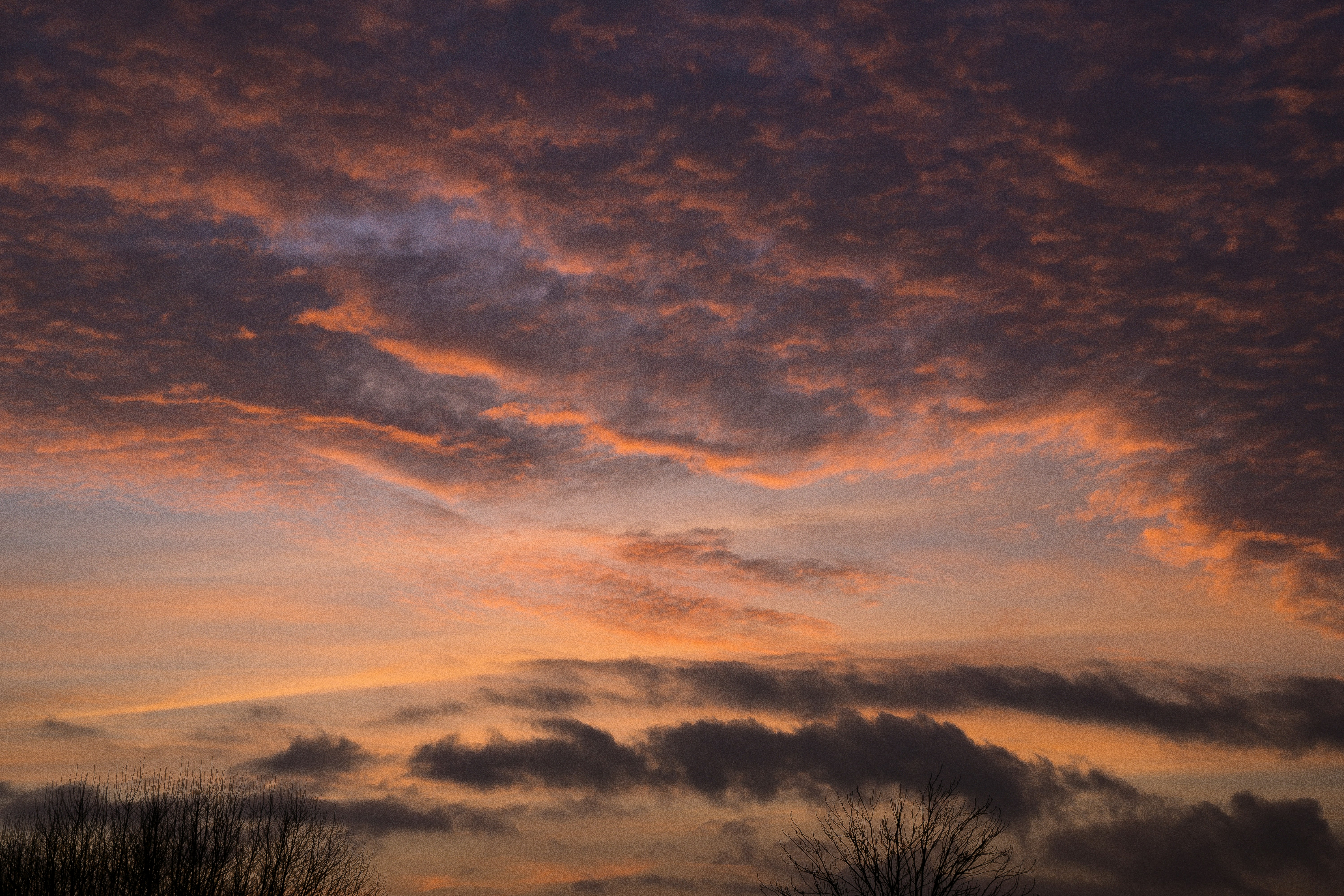 Photo by samuel_hagger