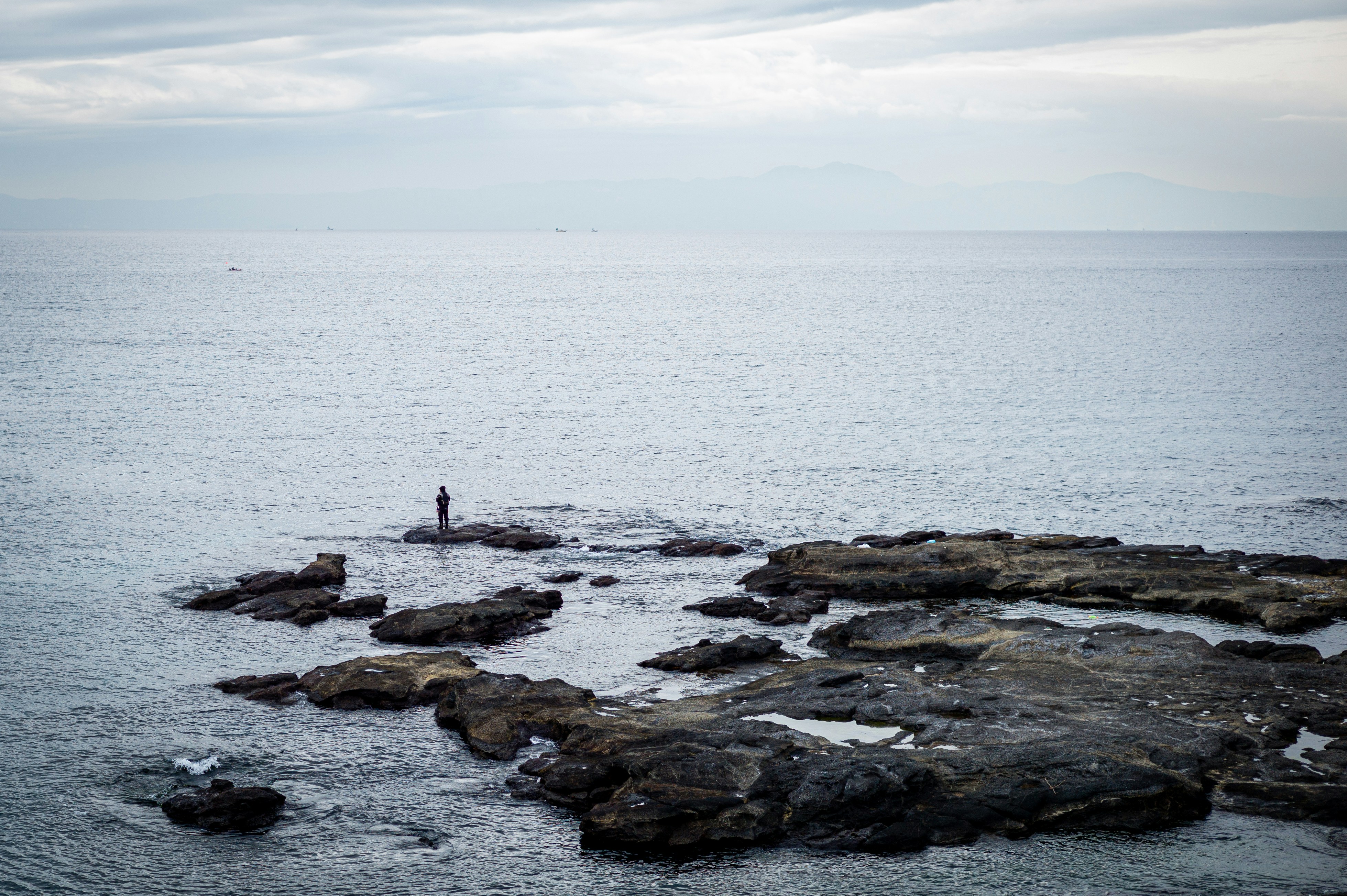 Photo by moollyem