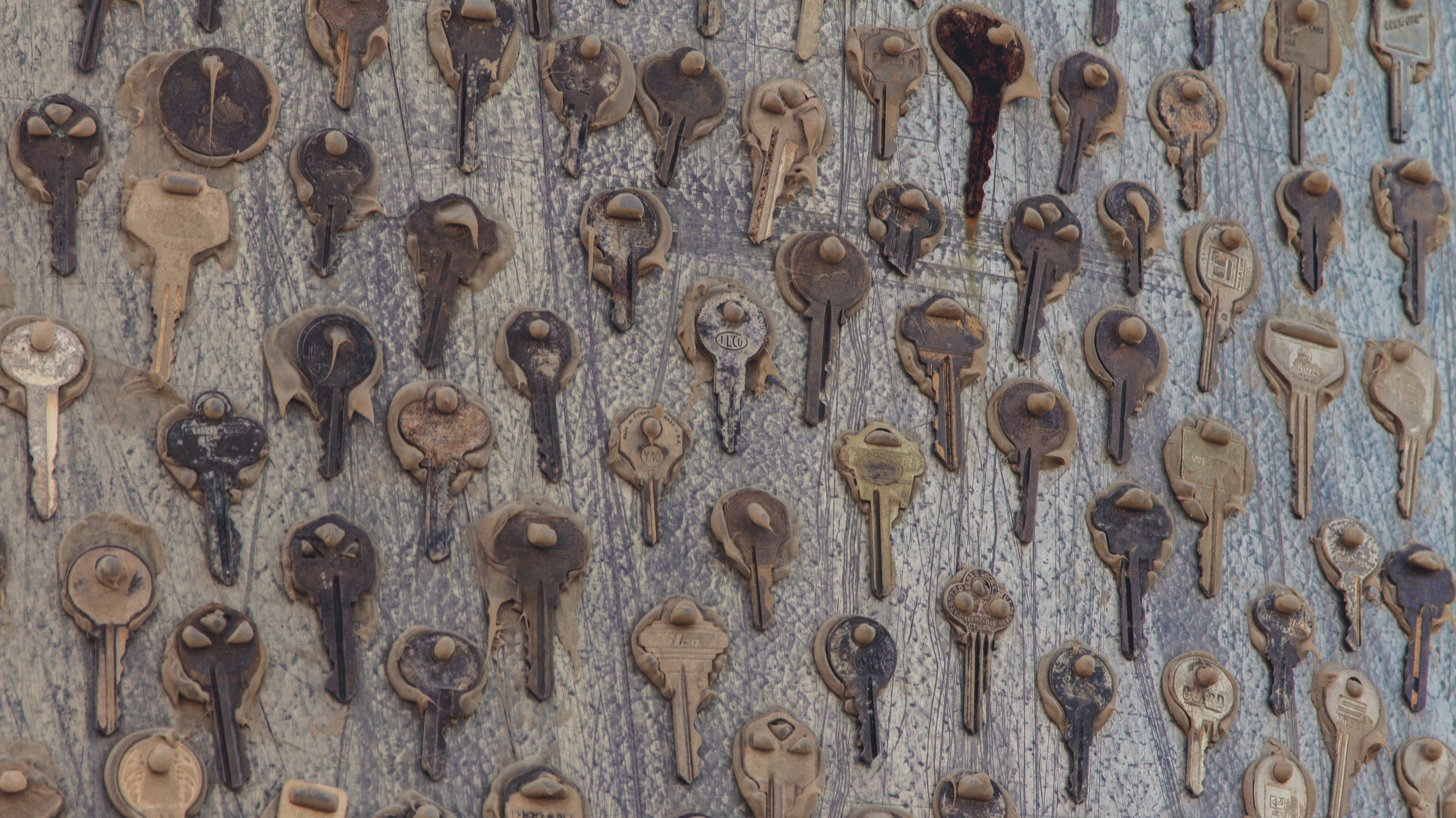 Cloning a Git Branch with Authentication and Shallow History: A Developer’s Guide