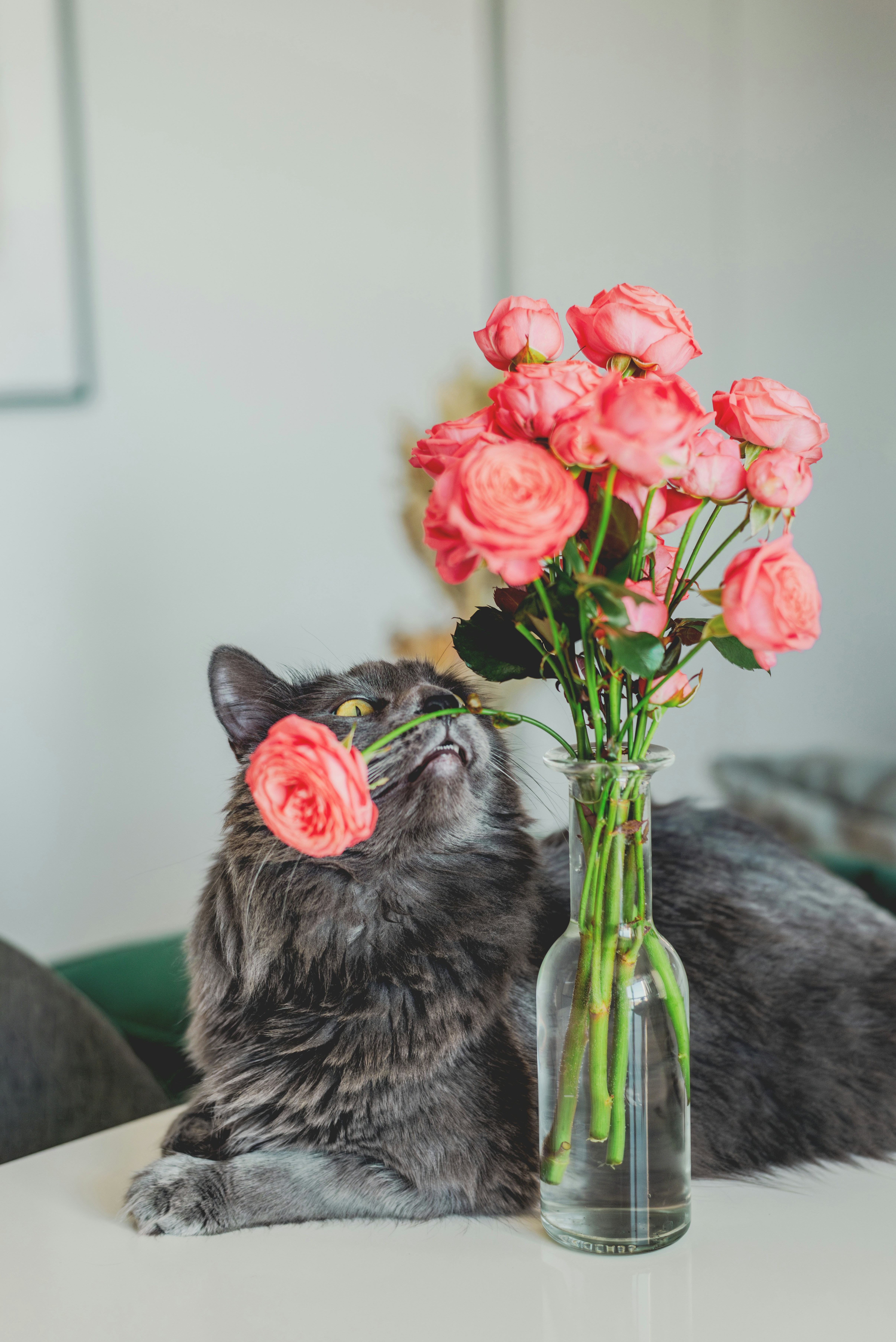 Photo by eugenivy_now