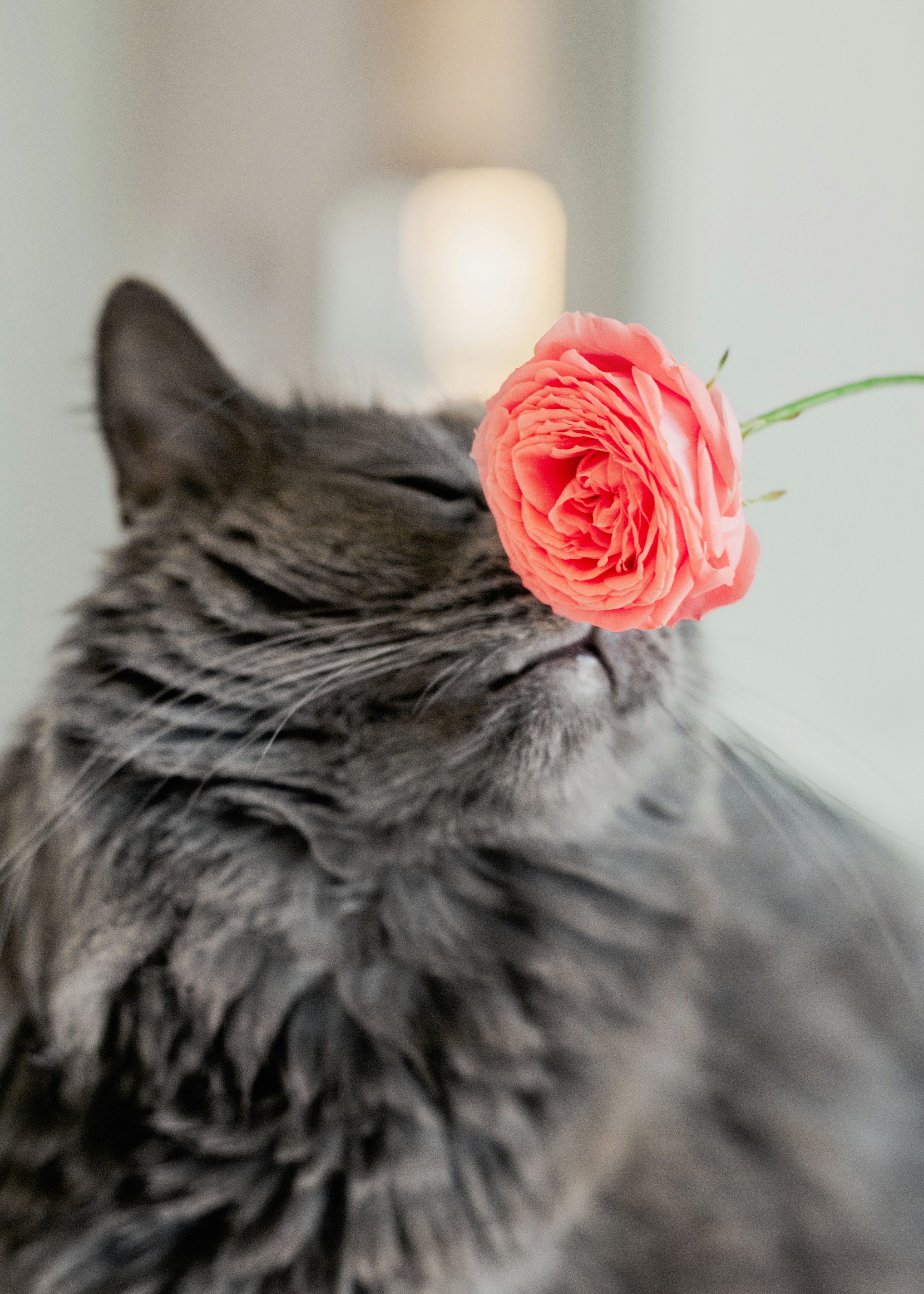 Photo by eugenivy_now