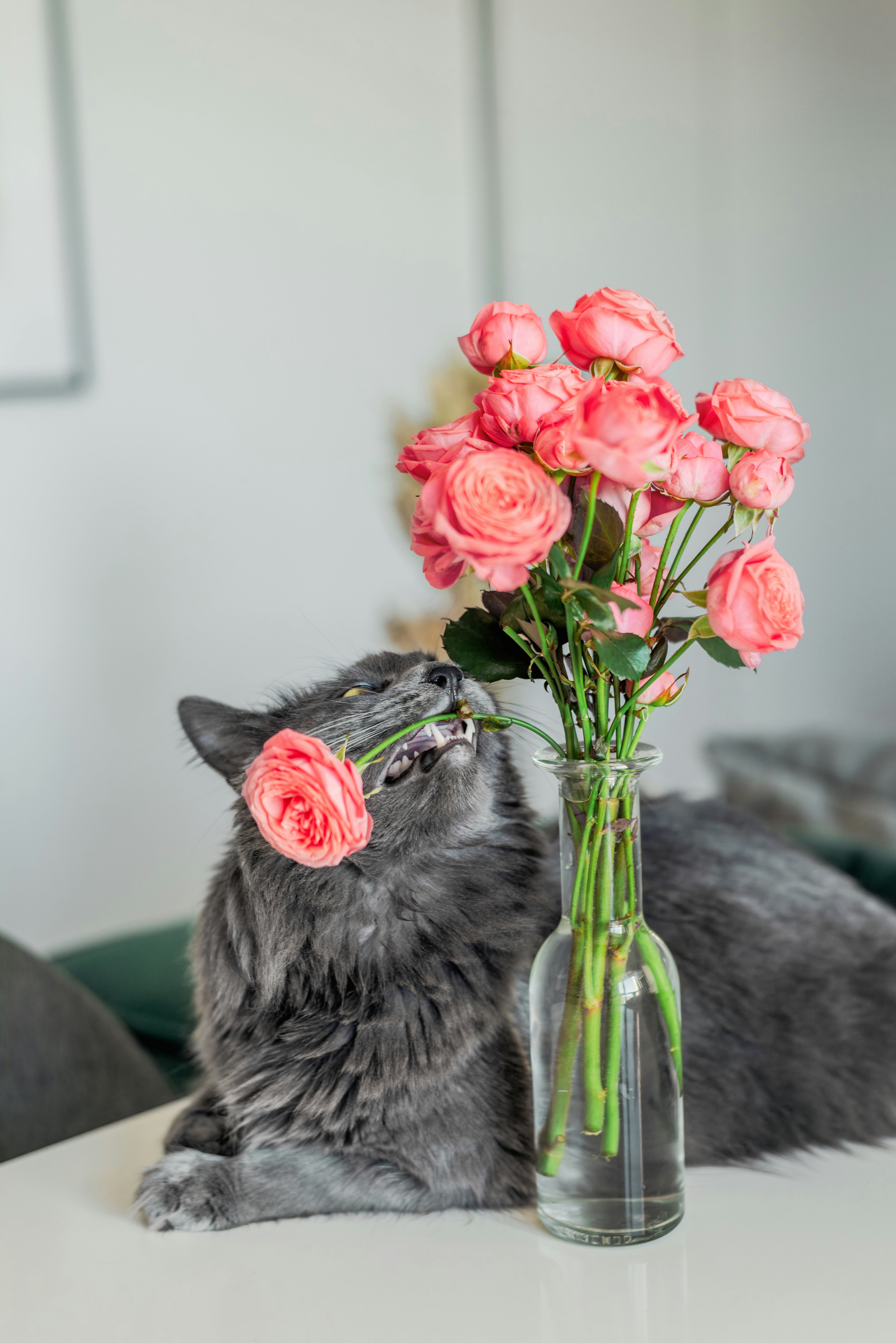 Photo by eugenivy_now