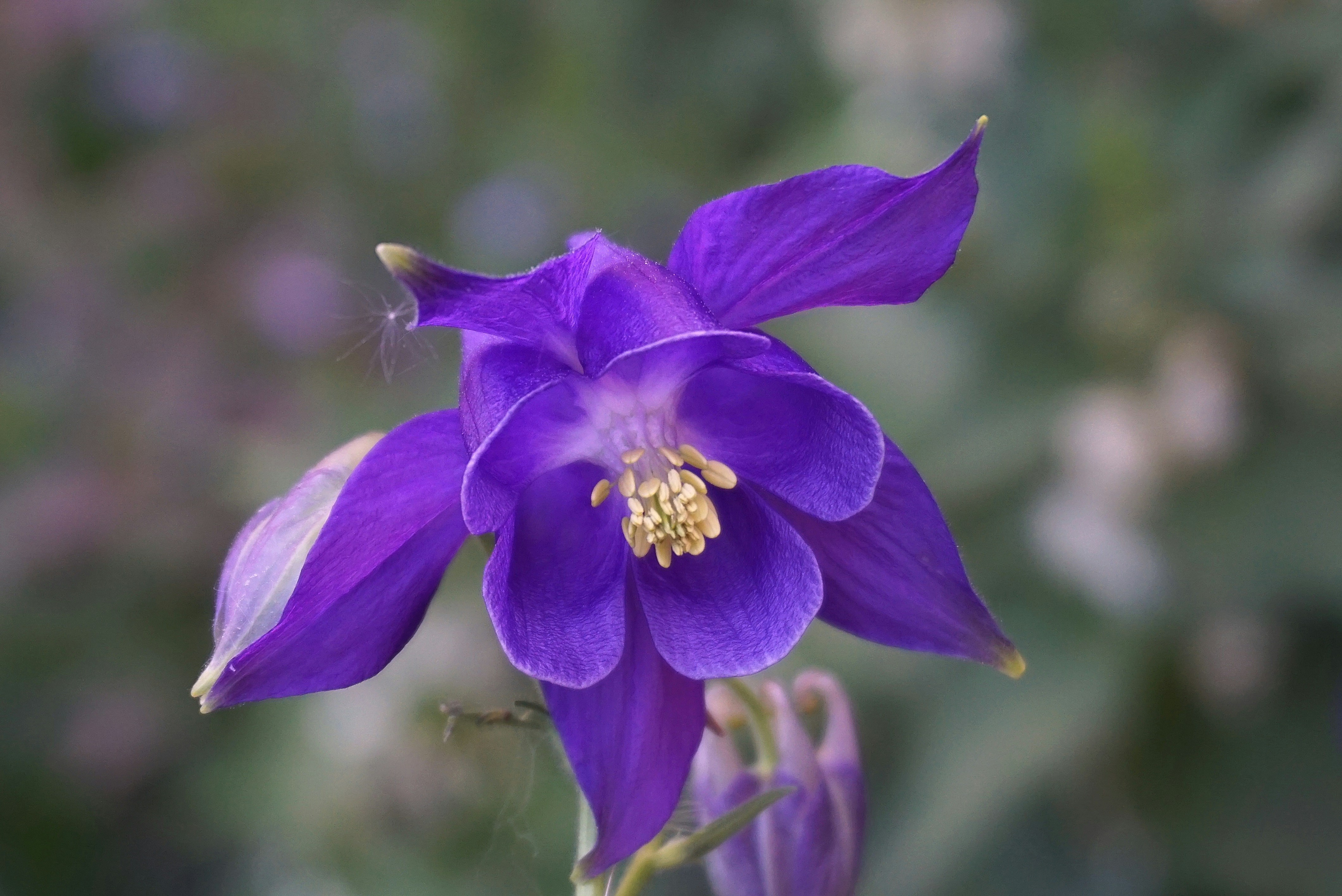 "Ambiente" Meble, Światło, Dekoracje 