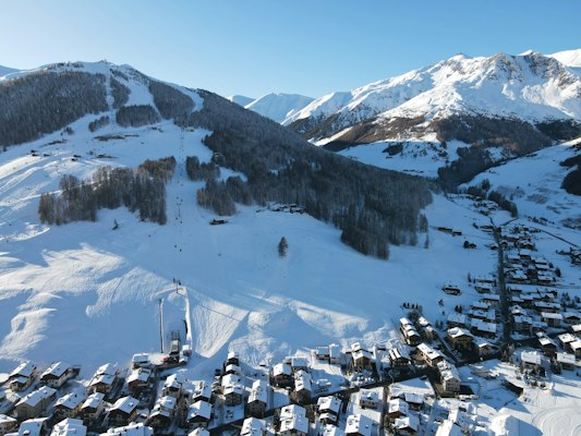 Pistes and a lift line dropping through larch trees to the edge of Livigno village in low winter sun