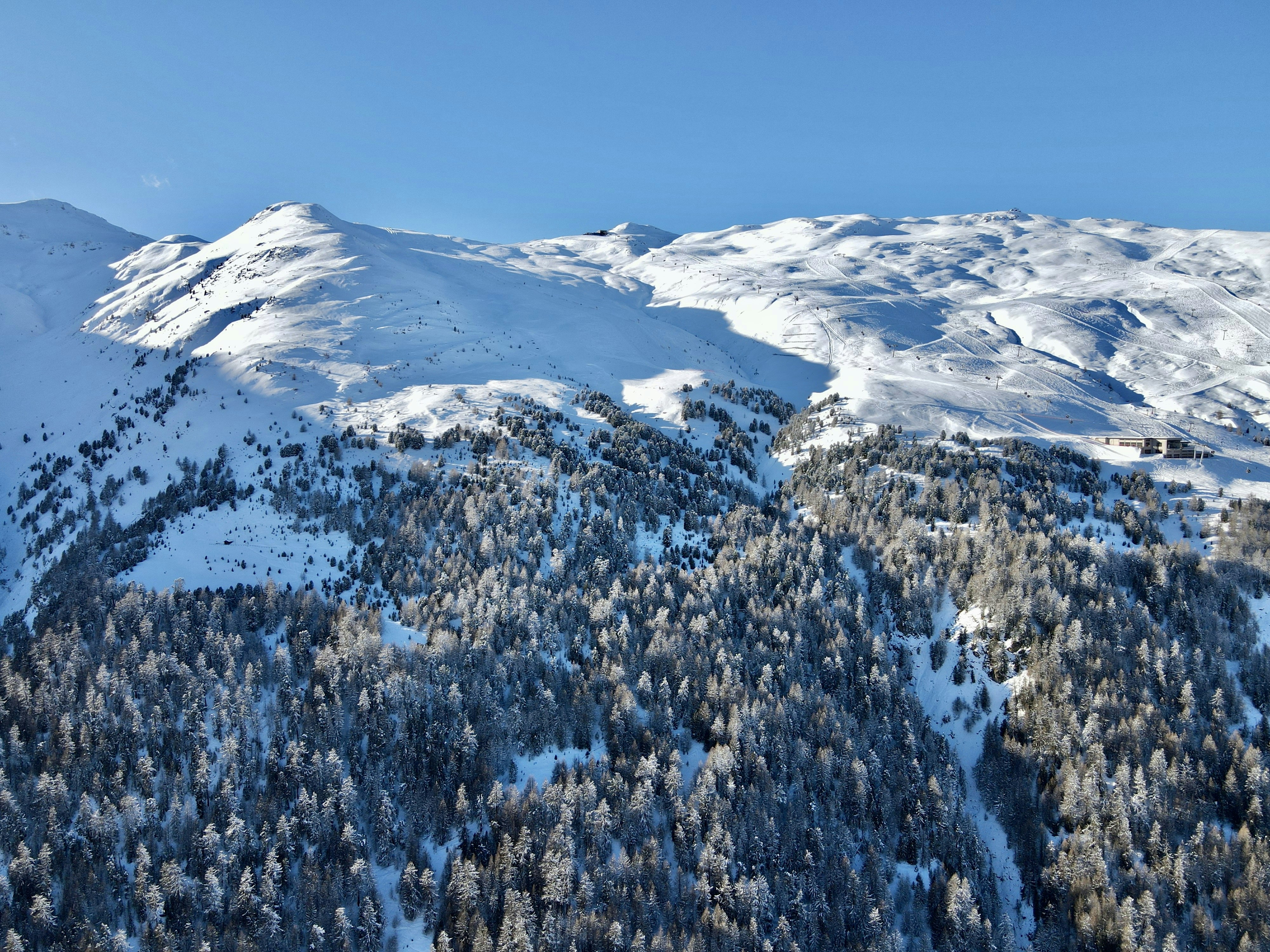 A view of a snowy mountain with trees in the foreground