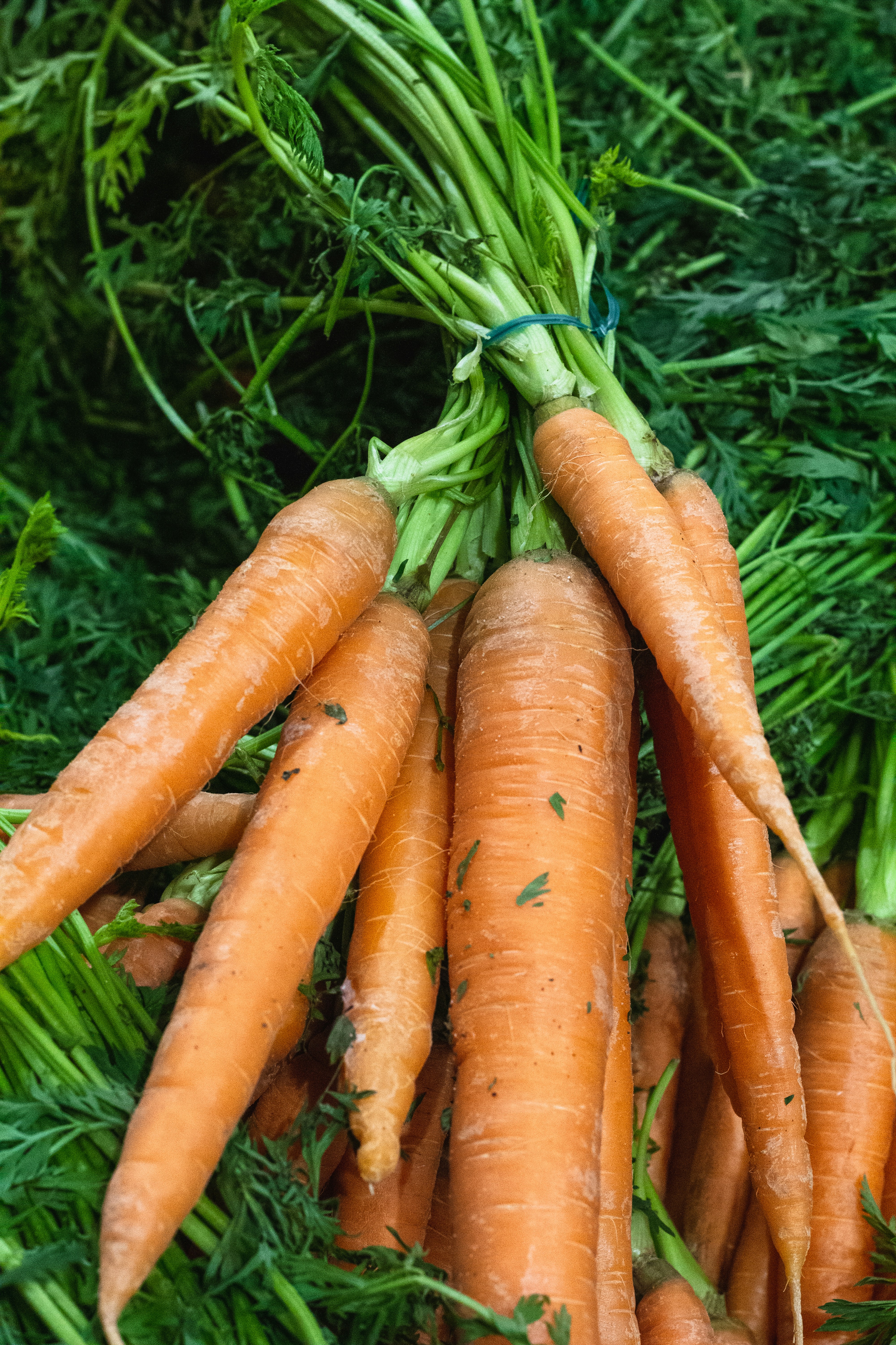 A bunch of carrots that are laying on the ground
