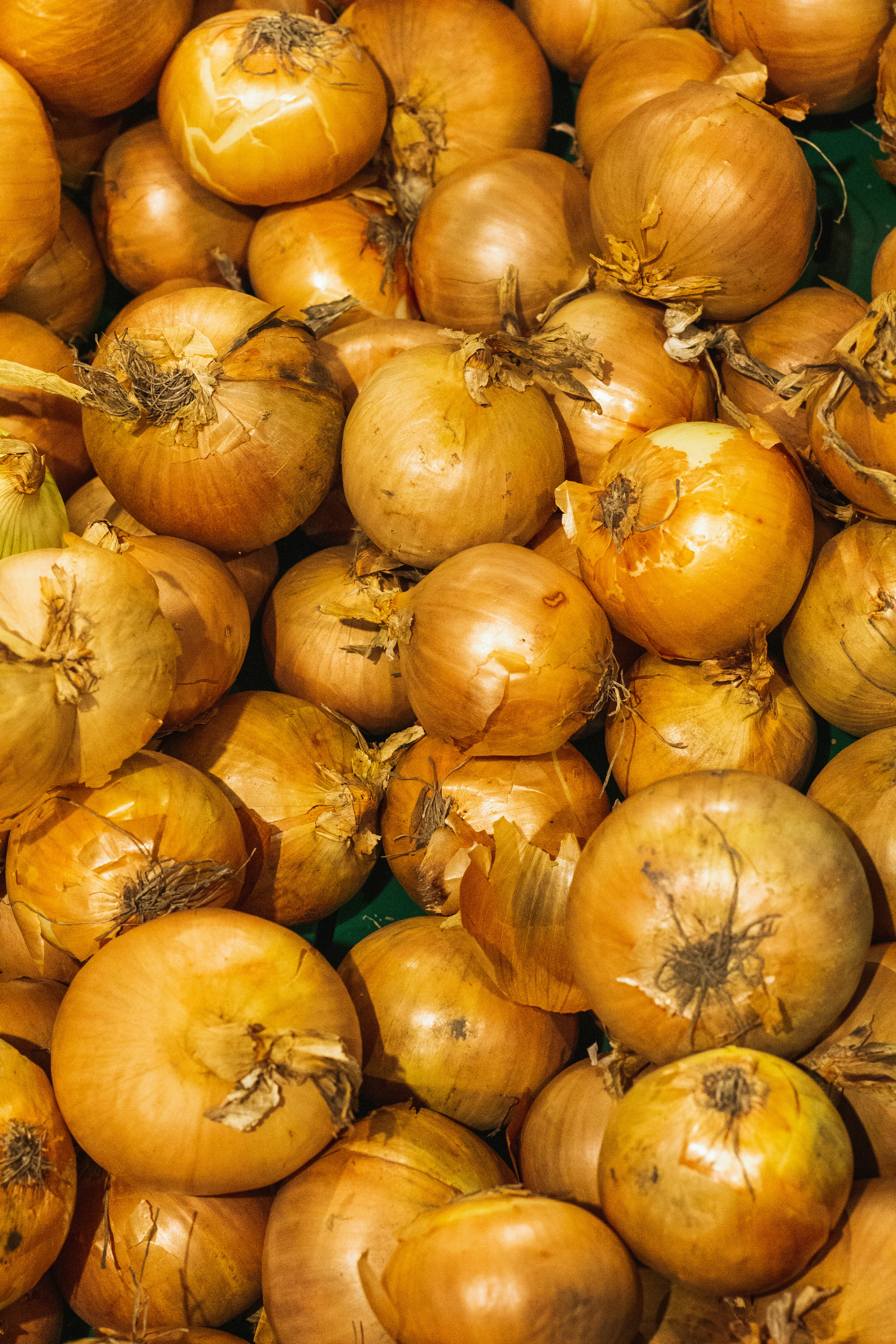 Photo by maciejka_dslr