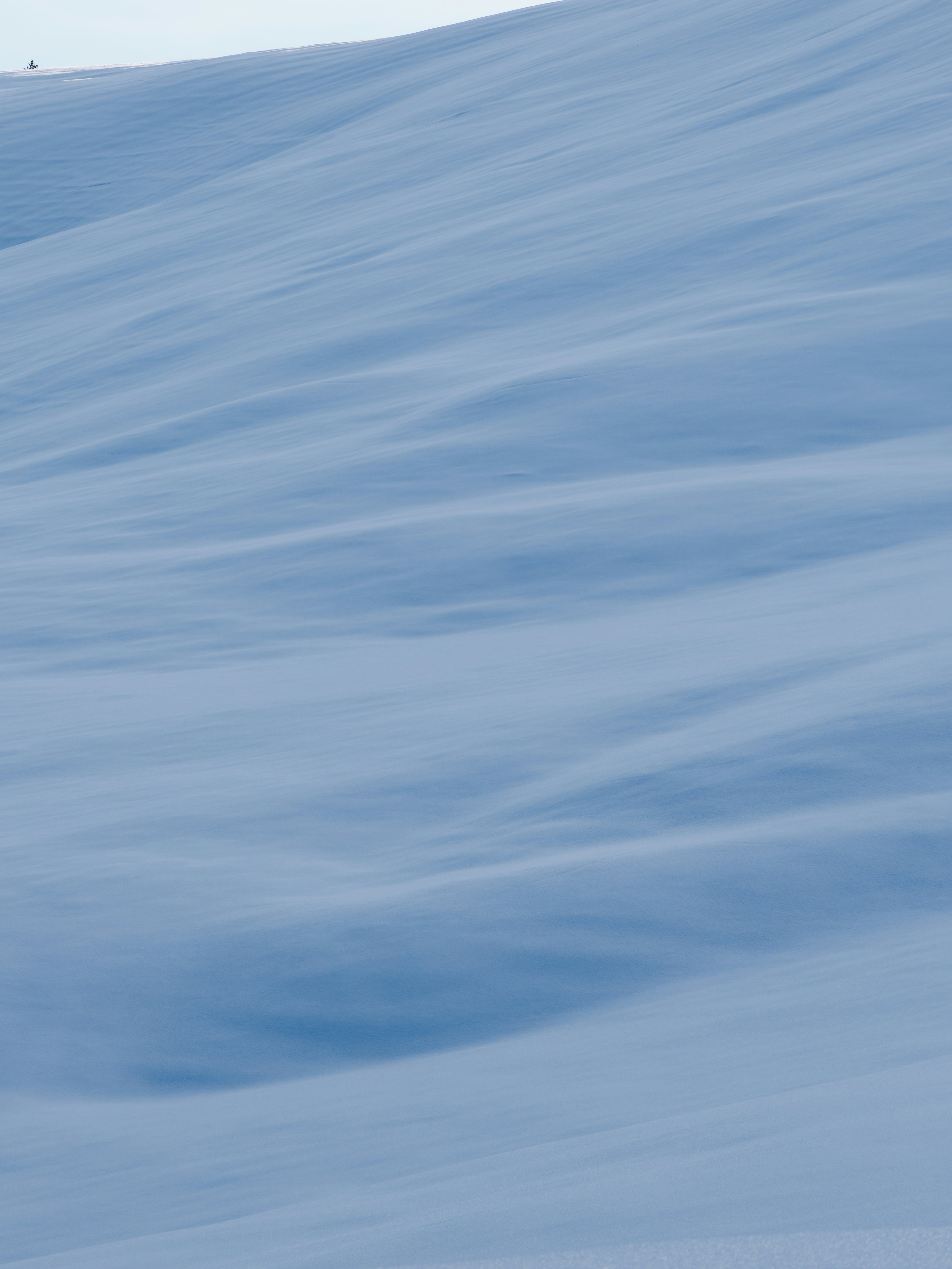 Photo by illes_cristi